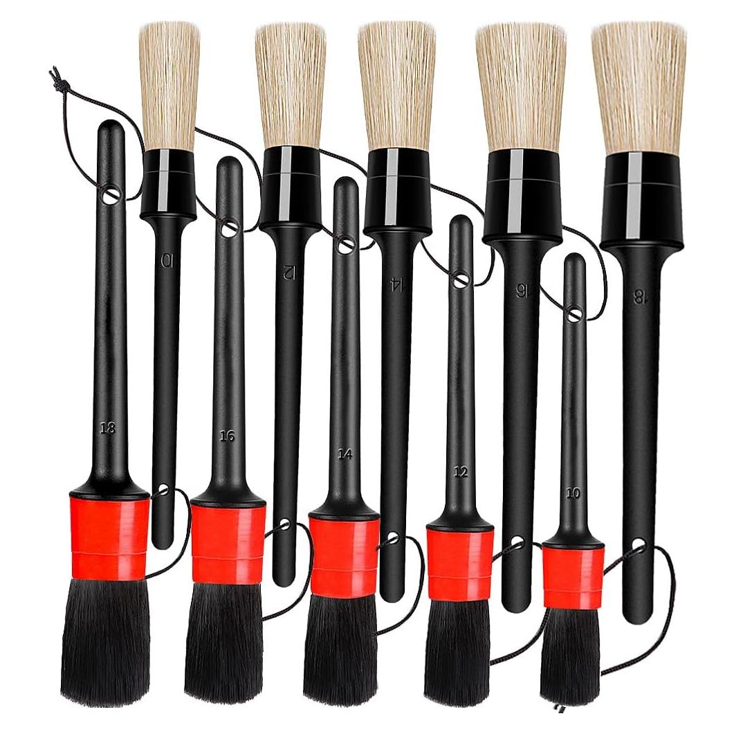 Juego de Cepillos de Detalle LANNEY - 10 Piezas para Autos