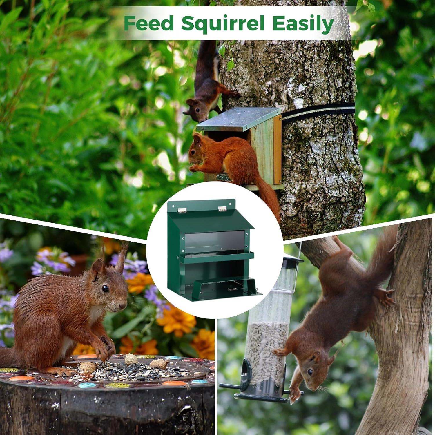 Comedero para Ardillas Anjetan con Techo Impermeable y Bandeja Extraíble