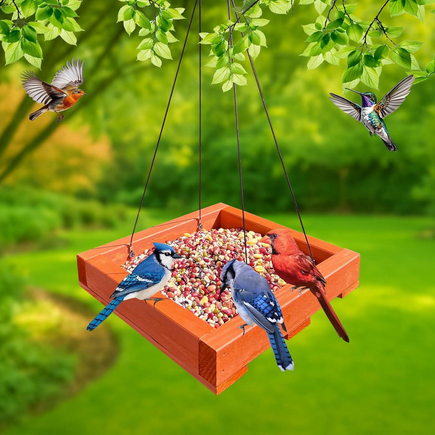 Comedero colgante de madera Strange Koala para aves 0.49 kg