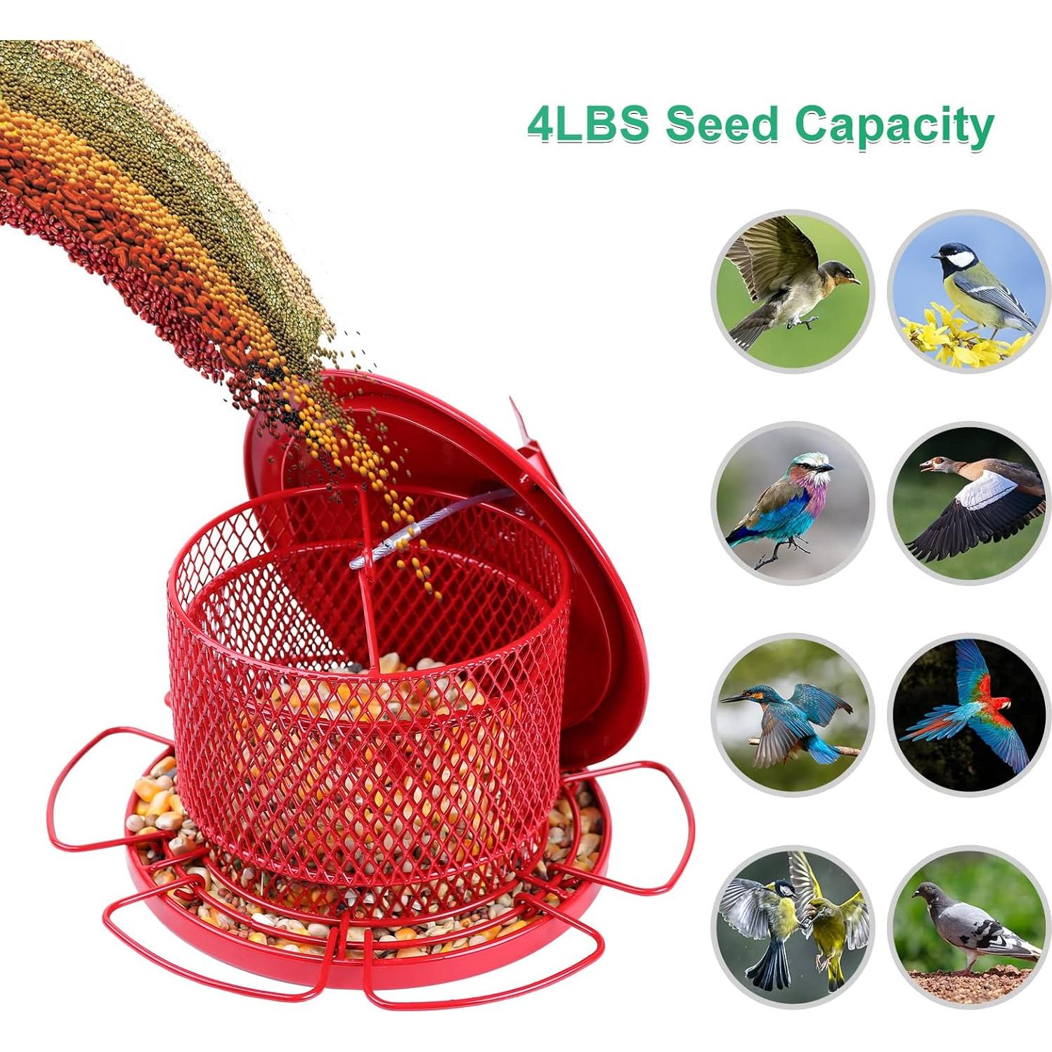 Comedero para Aves XCYNNS Rojo 1.8 kg Metal Colgante