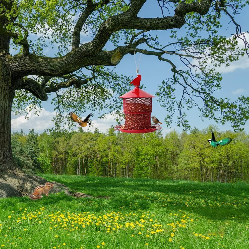 Comedero para Aves XCYNNS Rojo 1.8 kg Metal Colgante