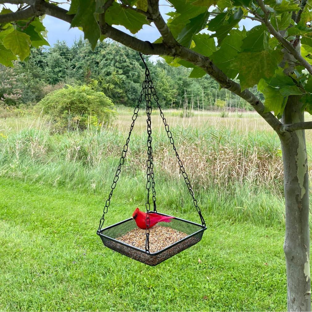 Evelots Hanging Bird Feeder Tray-4 Pack- Sturdy Metal Mesh Seed & Suet Platform-Attract Wild Birds in Backyard-Long 16 Inch Metal Chain-Water Drains Out