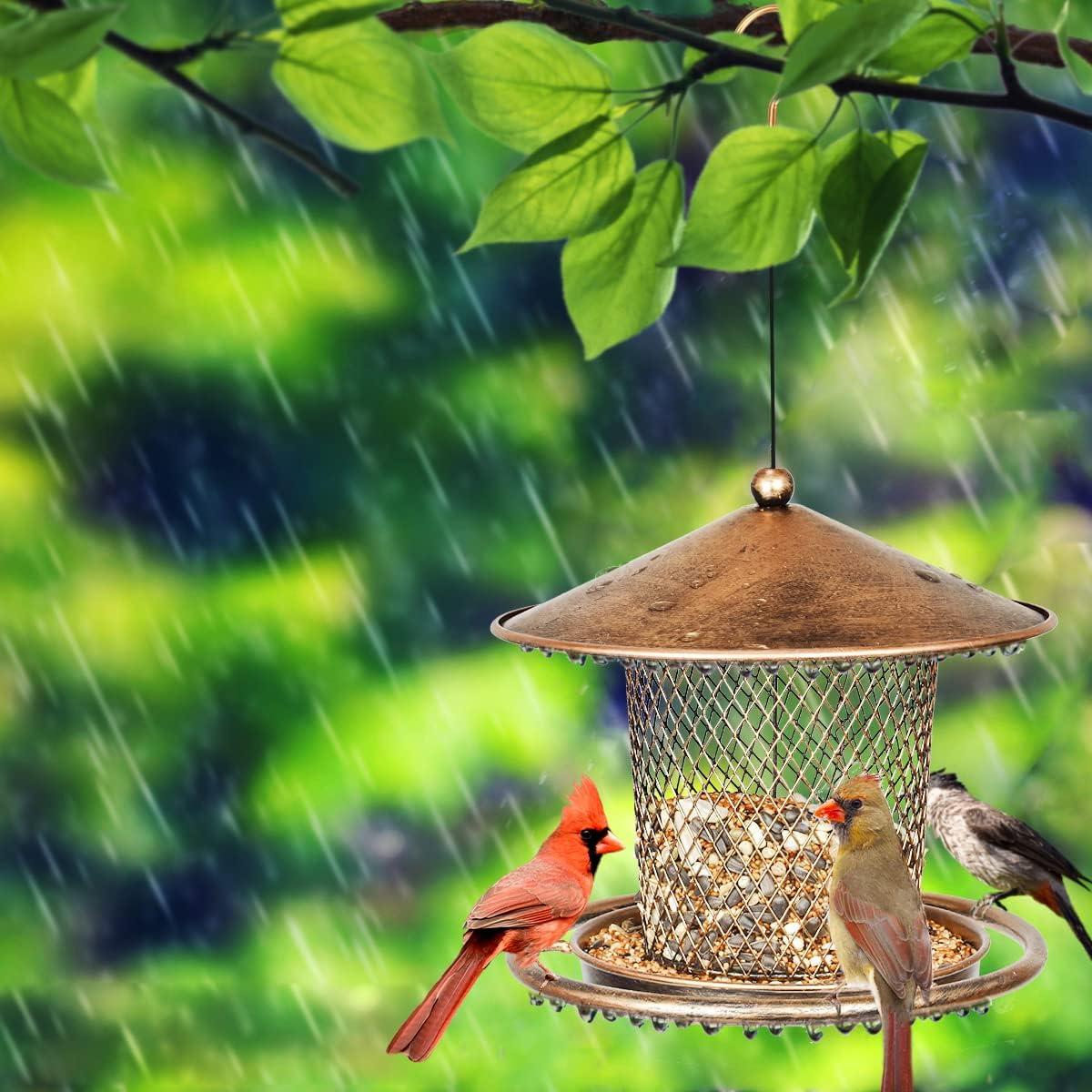 Comedero para Aves KIMCHOMERSE de Metal 0.91 kg Colgante