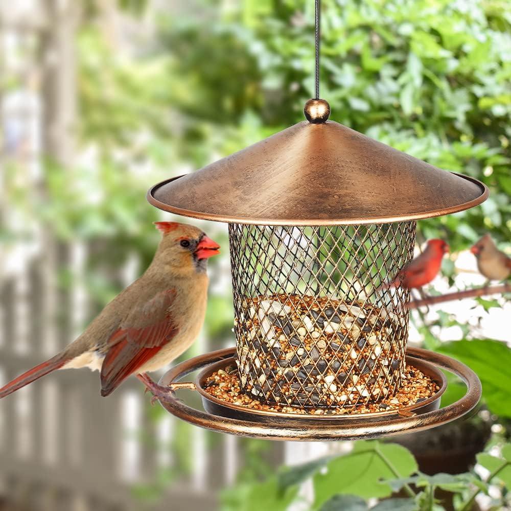 Comedero para Aves KIMCHOMERSE de Metal 0.91 kg Colgante