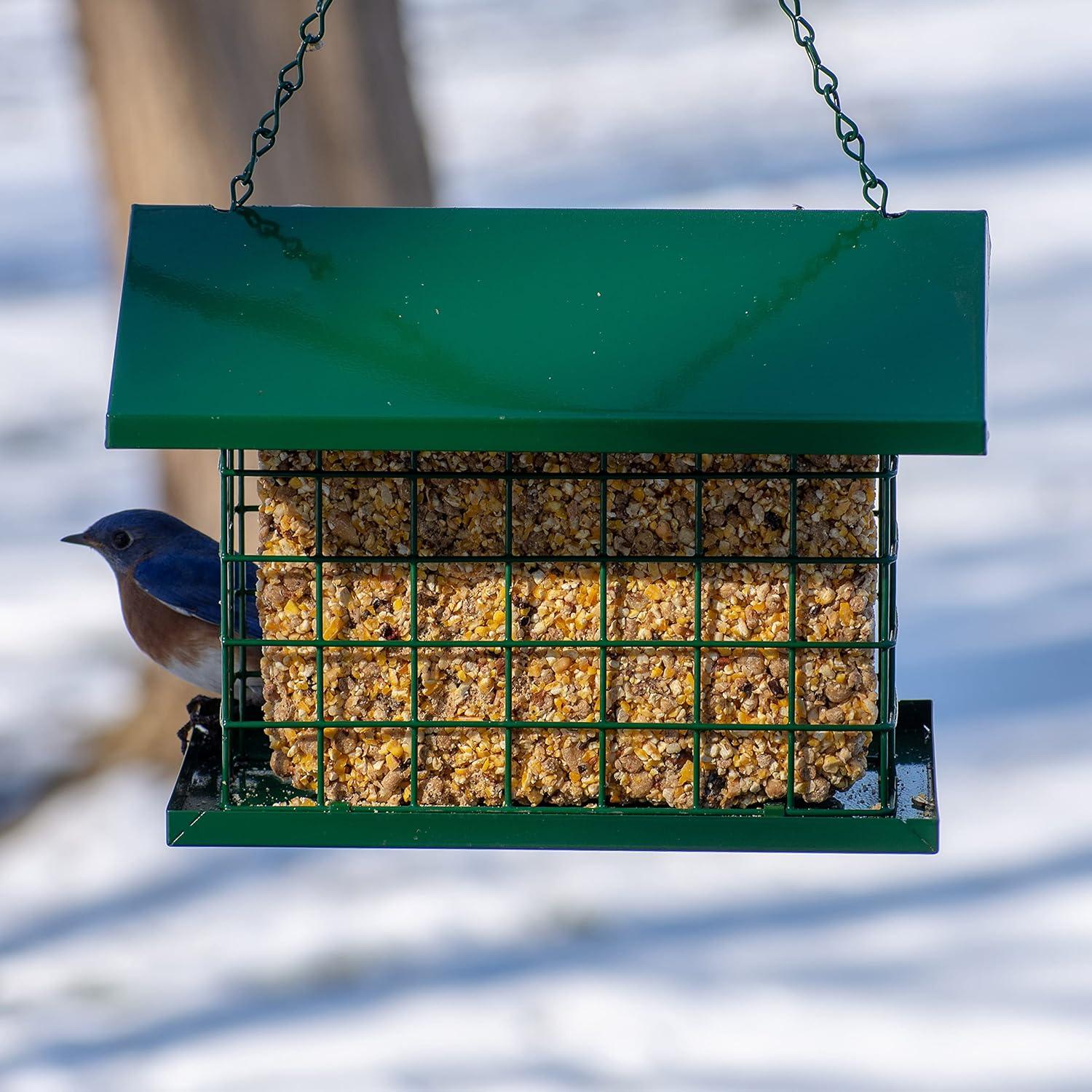 Alimentador de Aves Silvestres C&S EZ Fill Deluxe 20.3x27.4cm