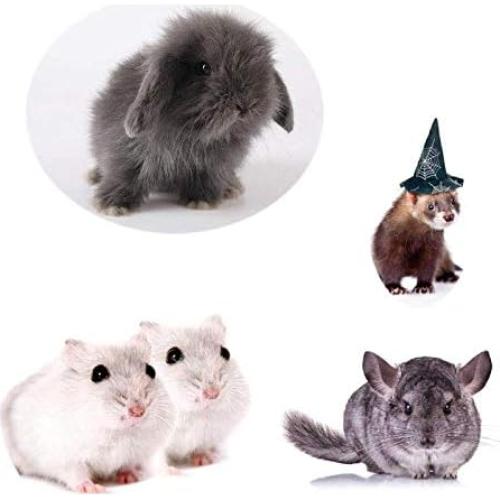 Tazón de Cerámica para Mascotas Pequeñas Gutongyuan M Blanco