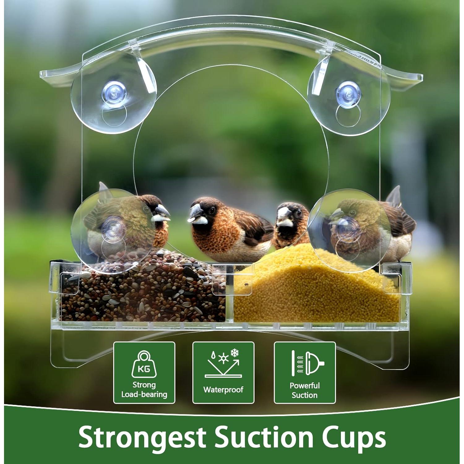 Comedero para Aves de Ventana Loz Silan - Transparente 14.73x24.89cm