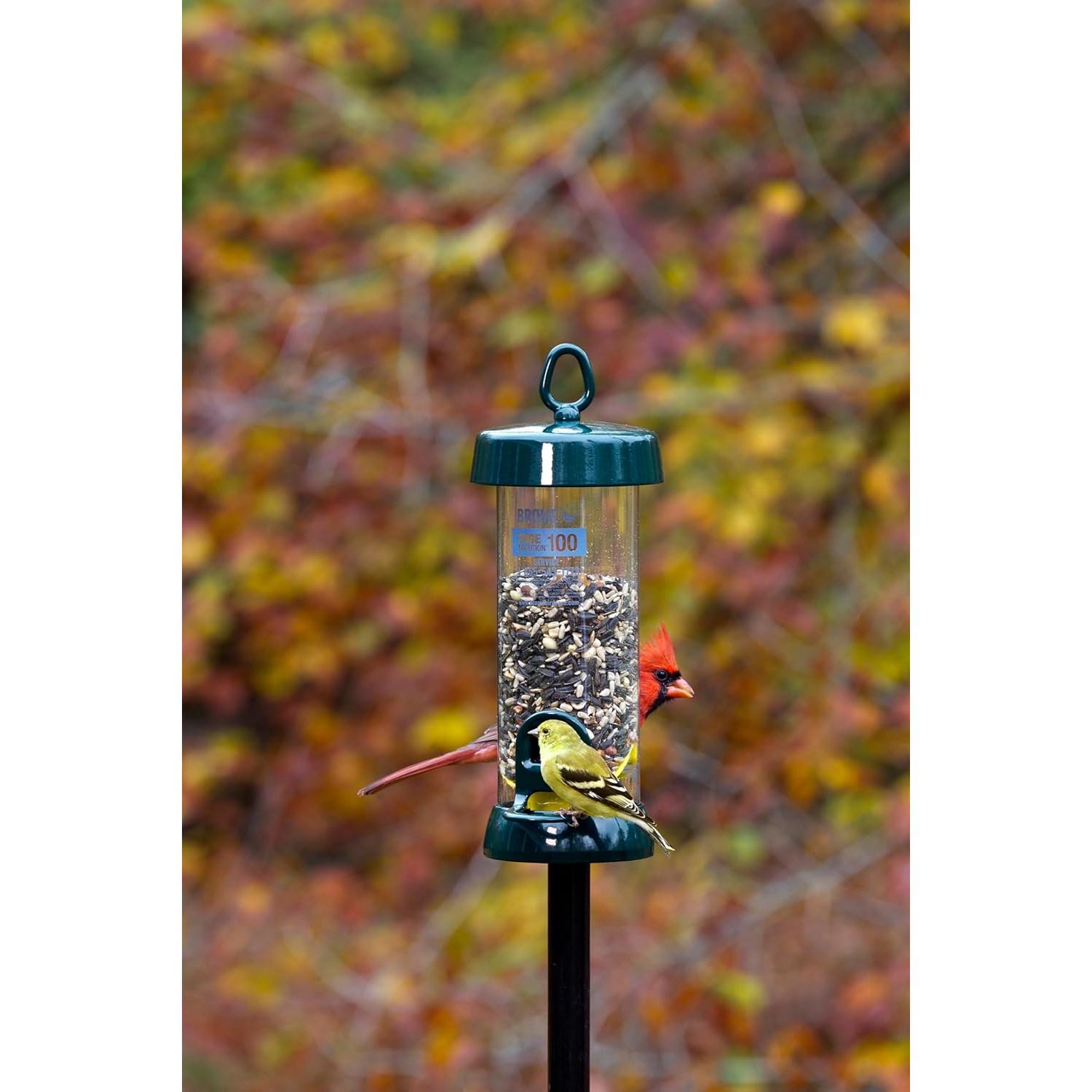 Alimentador de Aves Brome Tube Solution 100 - 0.77 kg, Verde