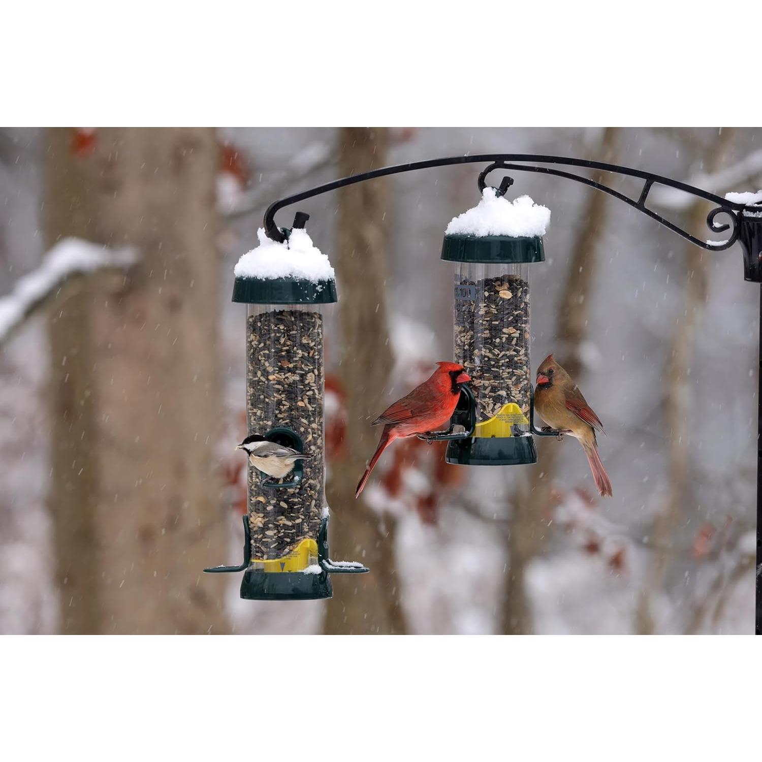 Alimentador de Aves Brome Tube Solution 100 - 0.77 kg, Verde