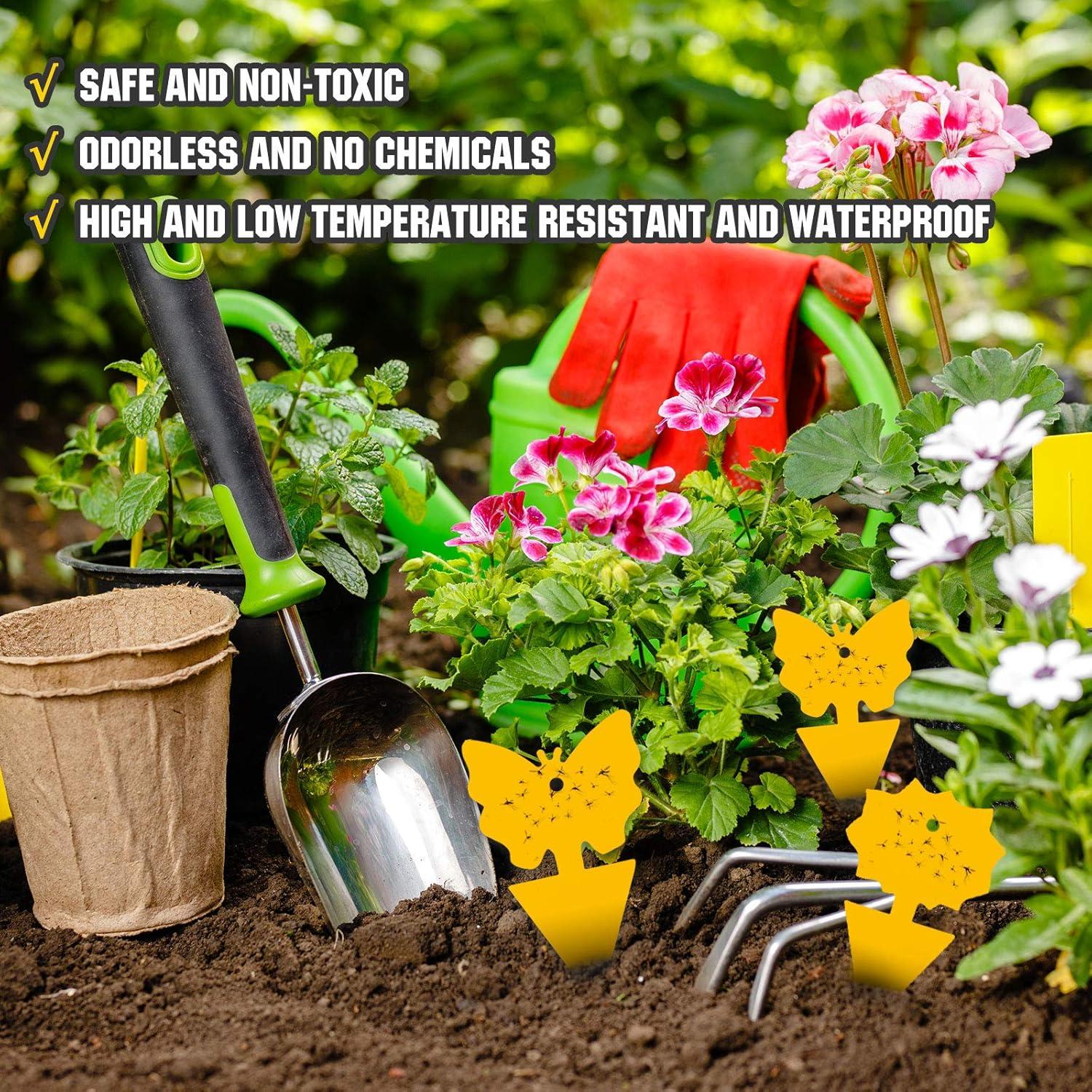 Trampas Adhesivas para Moscas de Fruta USKICH 96 Piezas