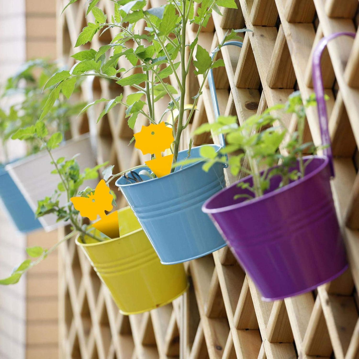 Trampas Adhesivas para Moscas de Fruta USKICH 96 Piezas