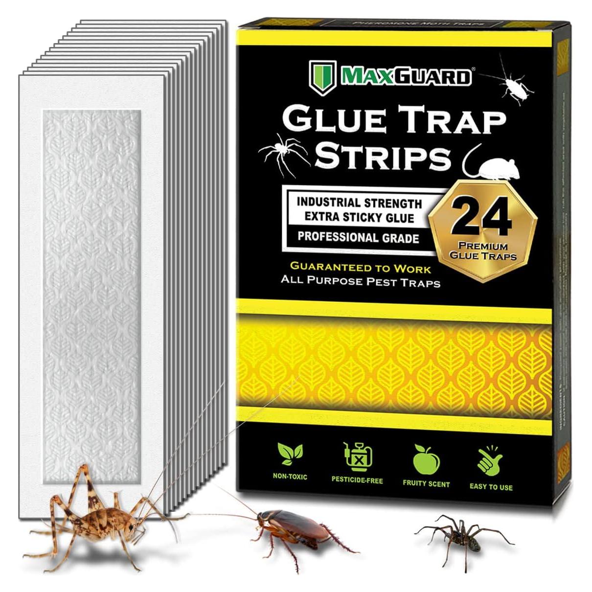 Tiras de Trampa de Pegamento MaxGuard 24 Unidades No Tóxicas