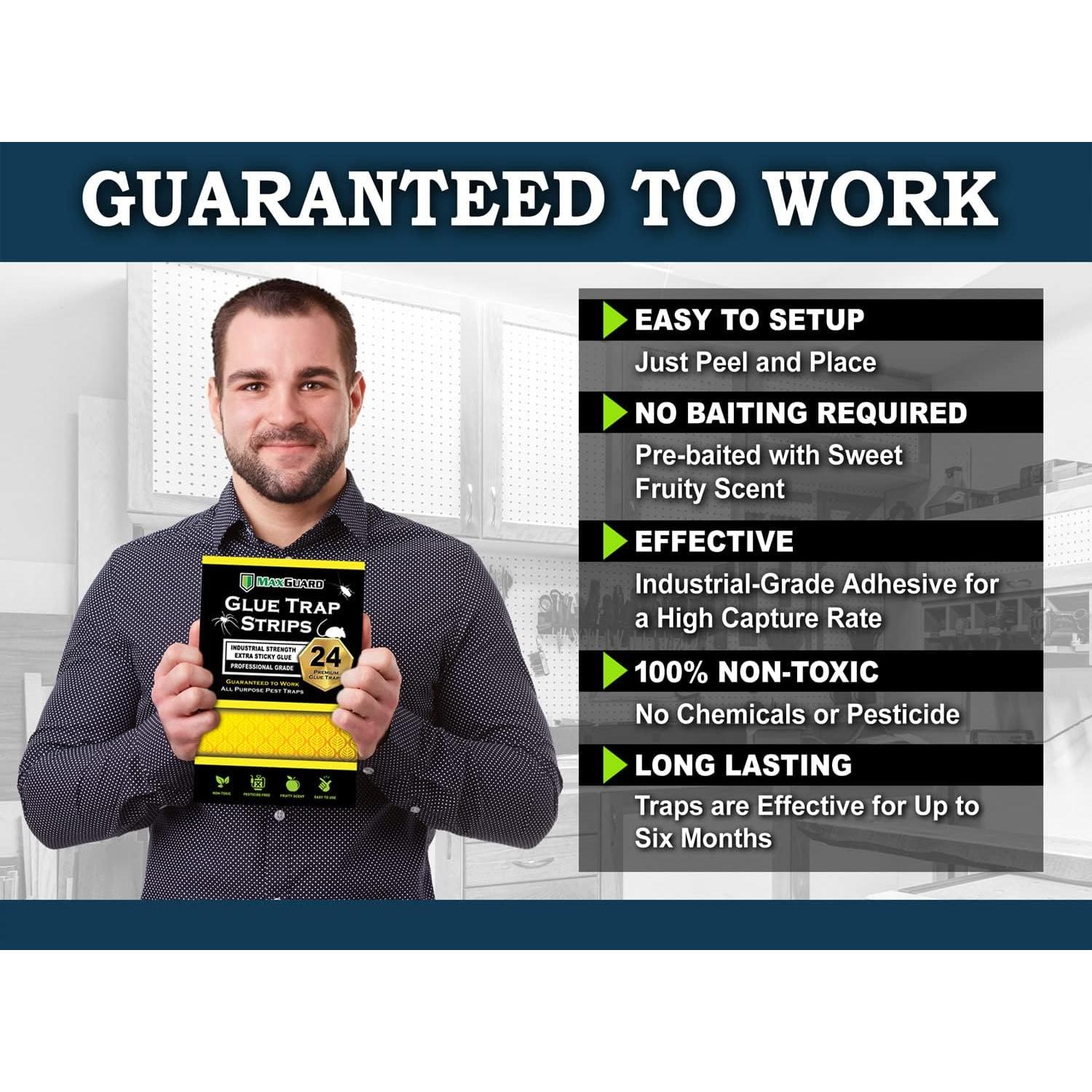 Tiras de Trampa de Pegamento MaxGuard 24 Unidades No Tóxicas