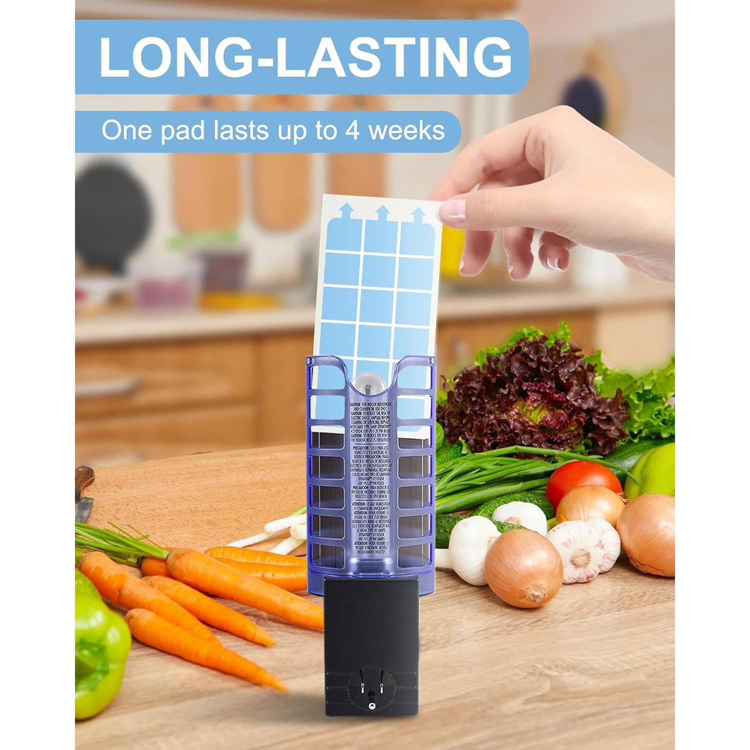 40 Tarjetas de Pegamento Dichroma para Trampa Dynatrap