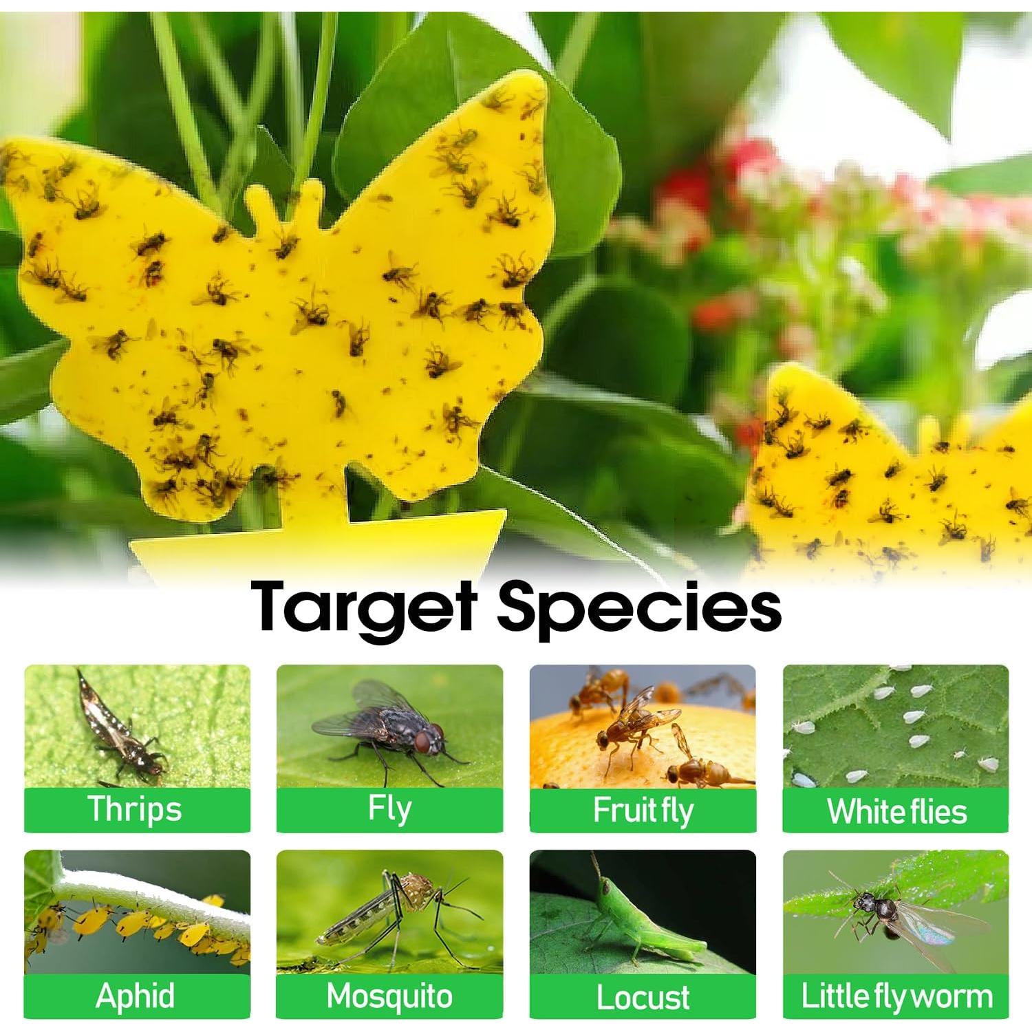 Trampas Adherentes Amarillas Cleanuper 58 Pcs para Insectos