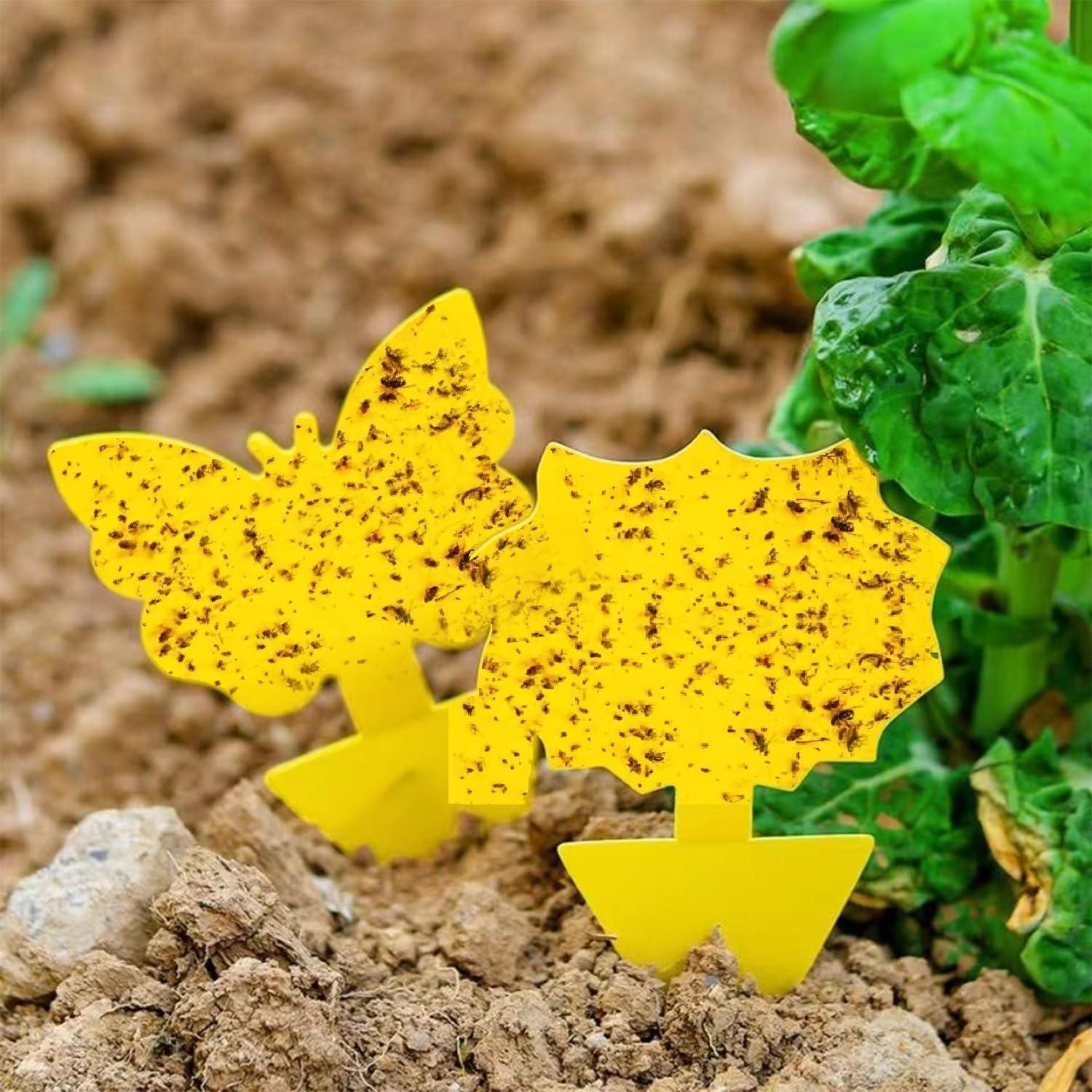 Trampas Adherentes Amarillas Cleanuper 58 Pcs para Insectos