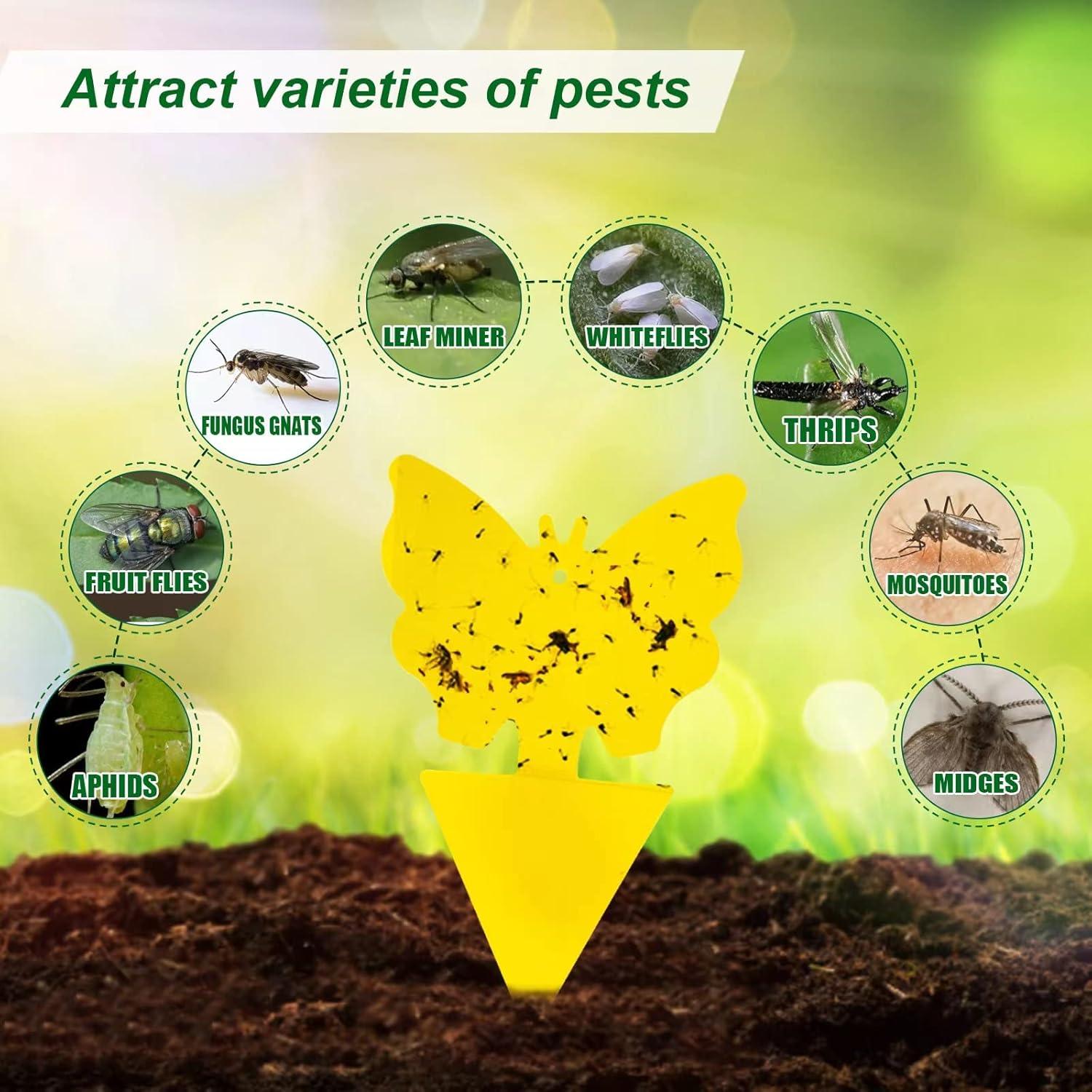 Trampas Pegajosas para Insectos 48 Pcs YourDaDa - No Tóxicas