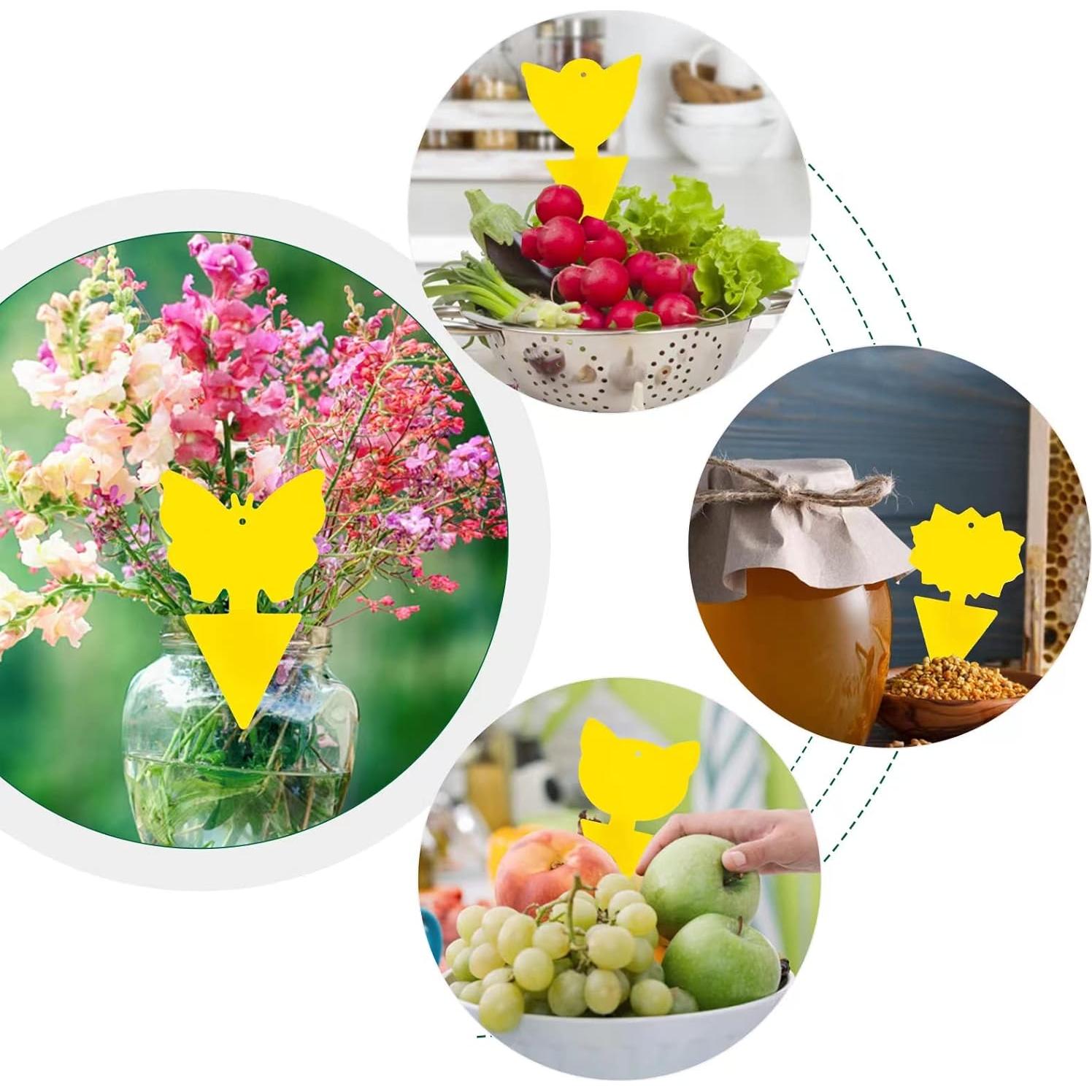 Trampas Pegajosas para Insectos 48 Pcs YourDaDa - No Tóxicas