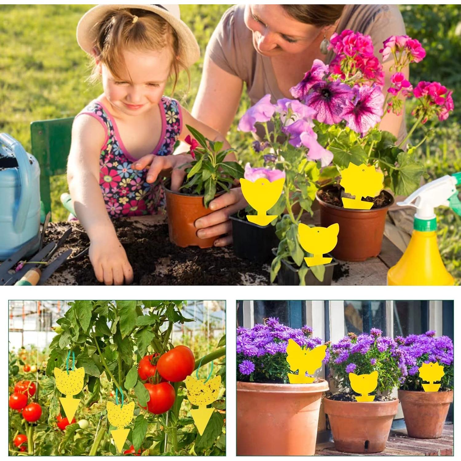 Trampas Pegajosas para Insectos 48 Pcs YourDaDa - No Tóxicas