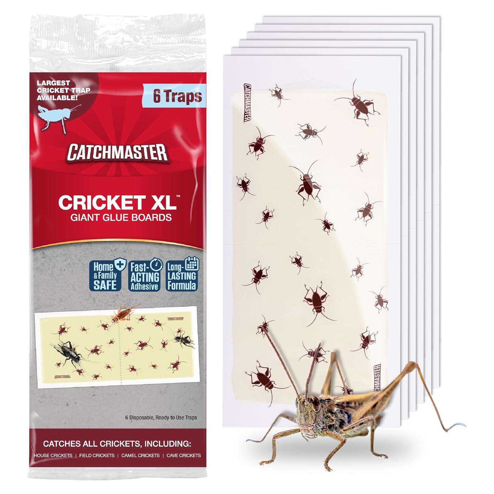 Trampas de Pegamento Catchmaster XL para Insectos - 6 Unidades