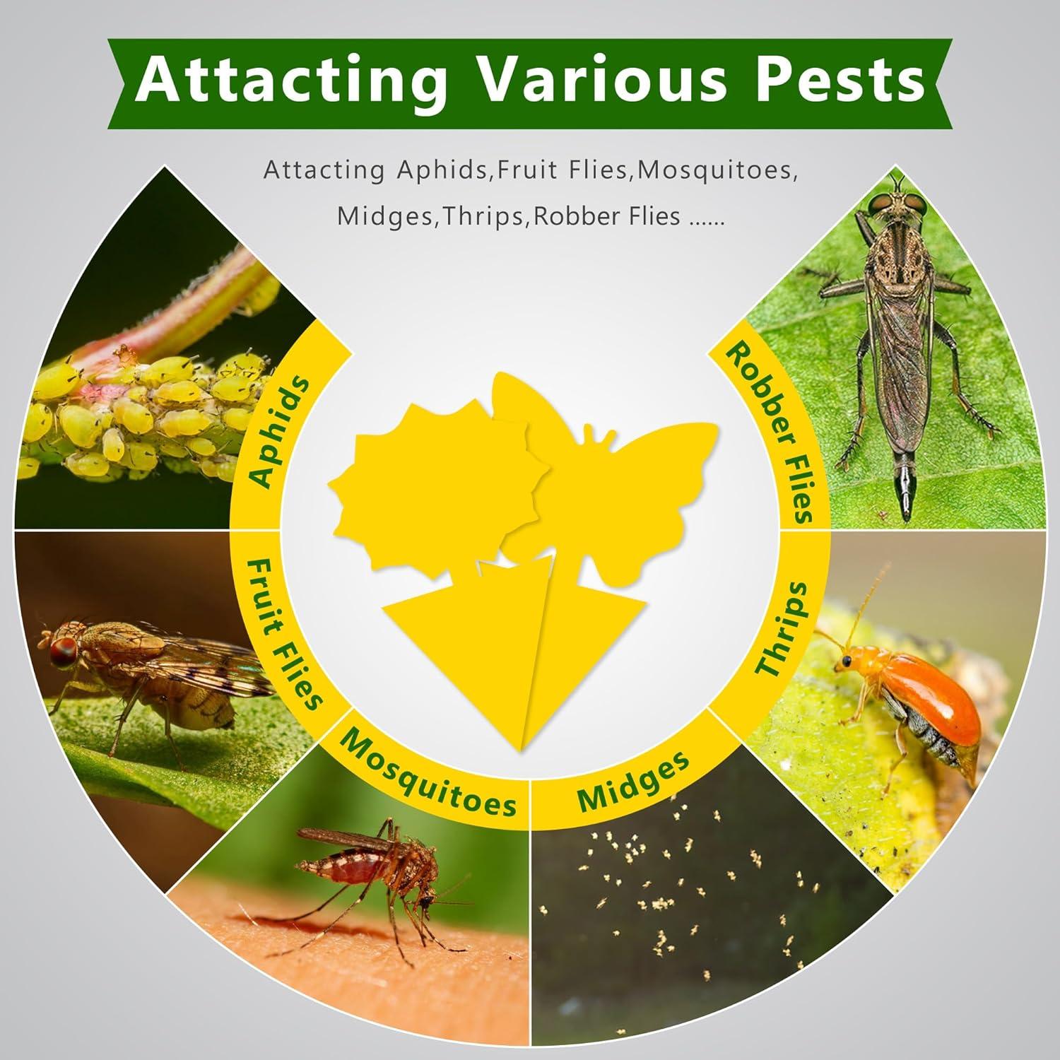 Trampas para Moscas de Fruta Landisun 48PCS Amarillas Ecológicas