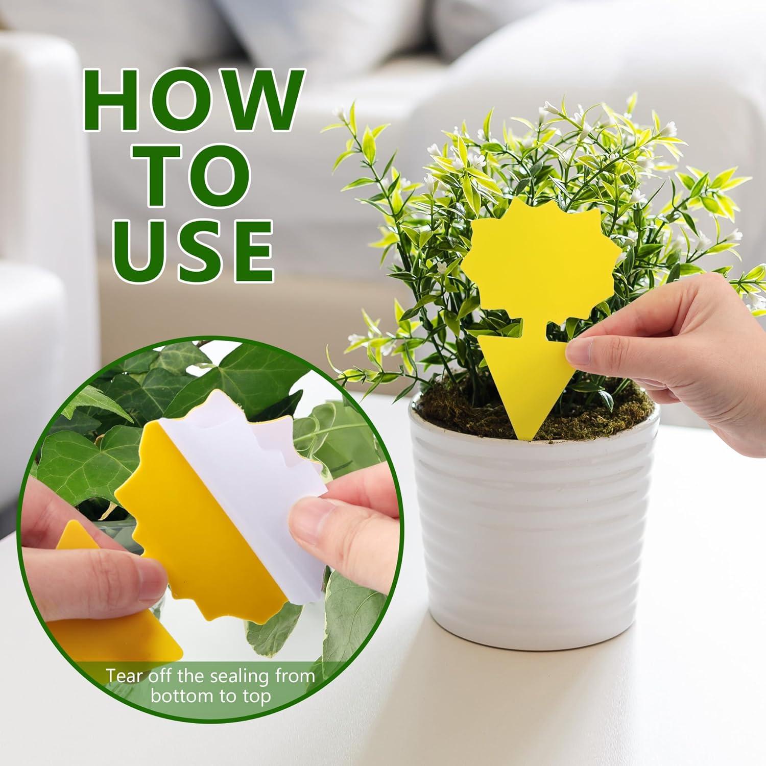 Trampas para Moscas de Fruta Landisun 48PCS Amarillas Ecológicas