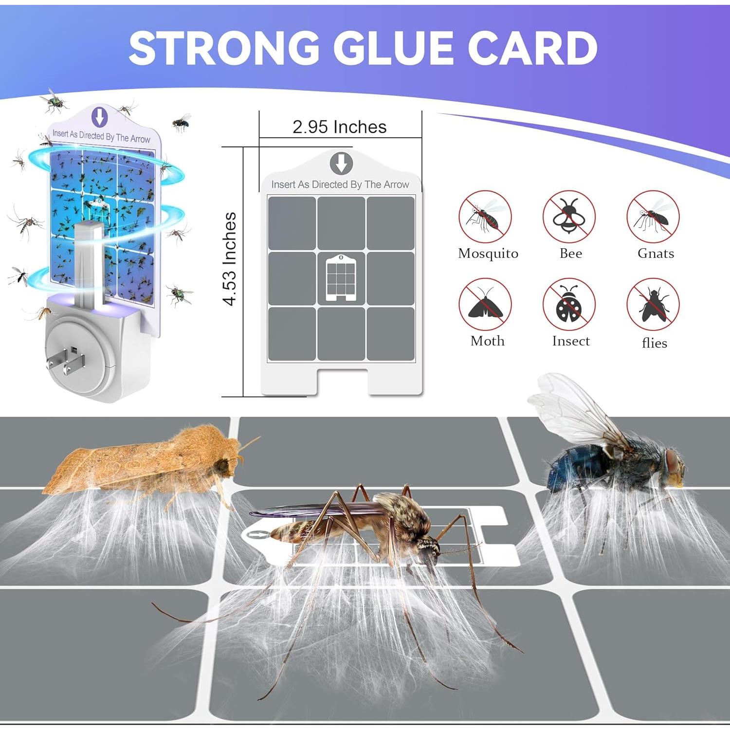 Recargas Adhesivas Qualirey 25 Unidades para Trampa Dynatrap