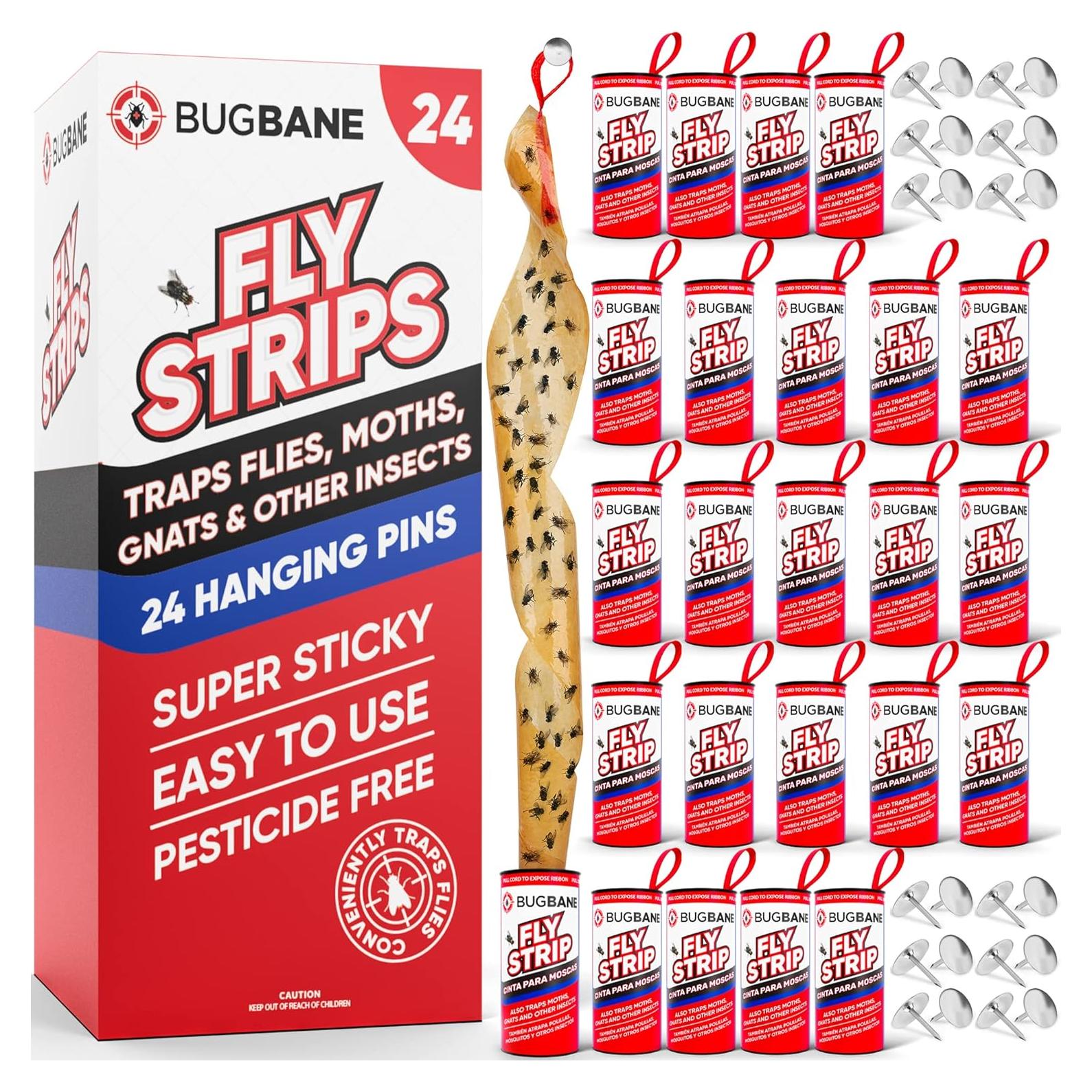 Trampa Adhesiva para Moscas BugBane 24 Unidades No Tóxica