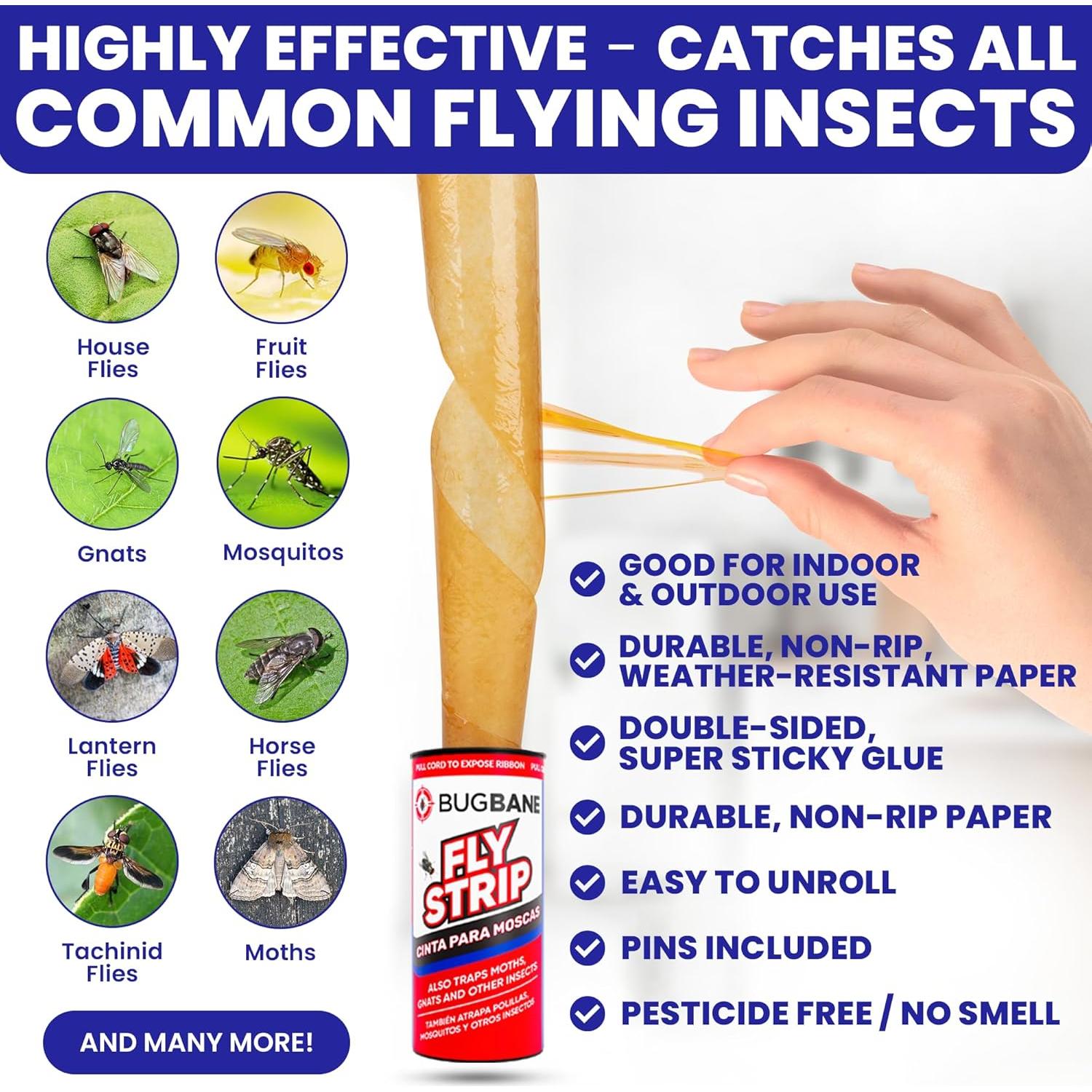 Trampa Adhesiva para Moscas BugBane 24 Unidades No Tóxica