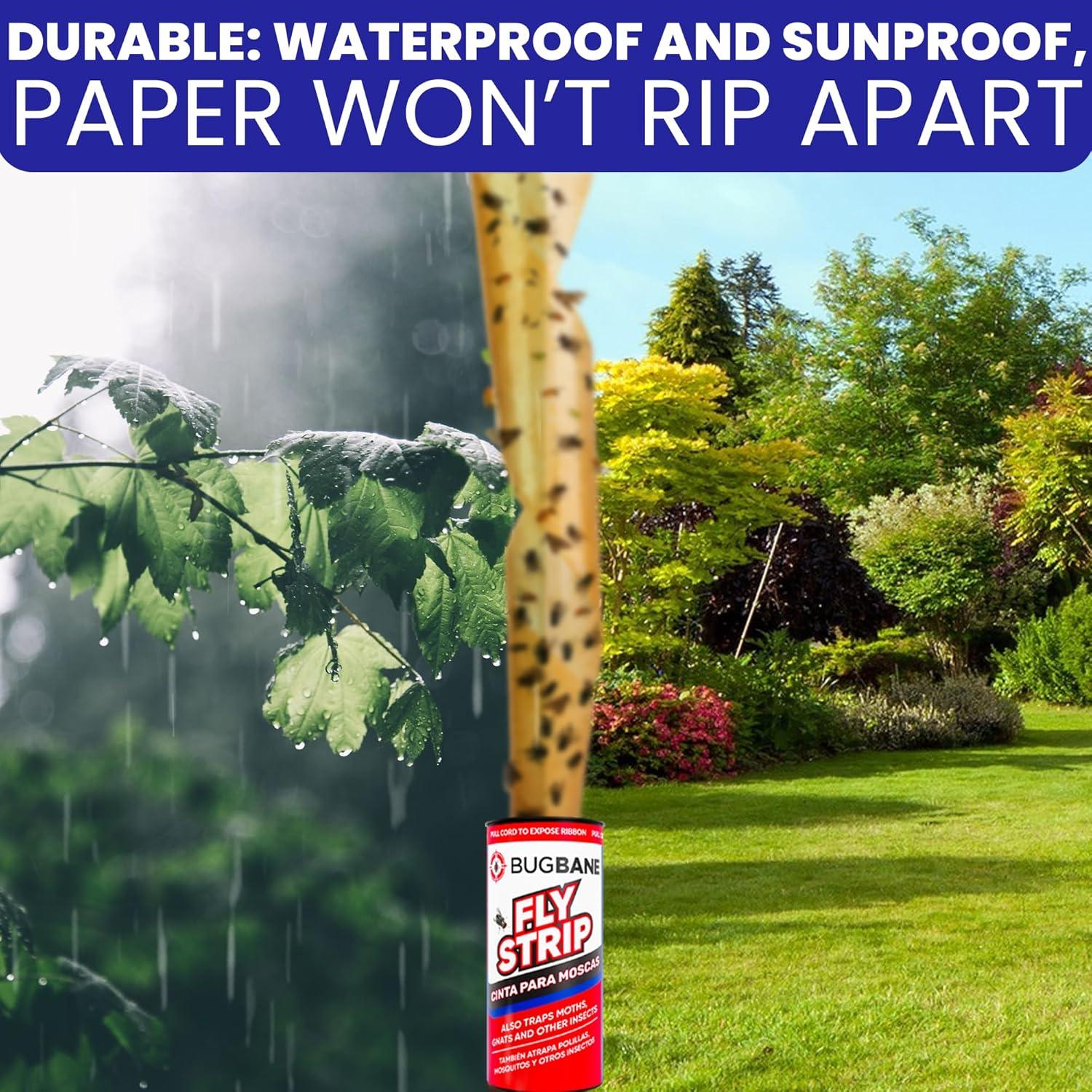 Trampa Adhesiva para Moscas BugBane 24 Unidades No Tóxica