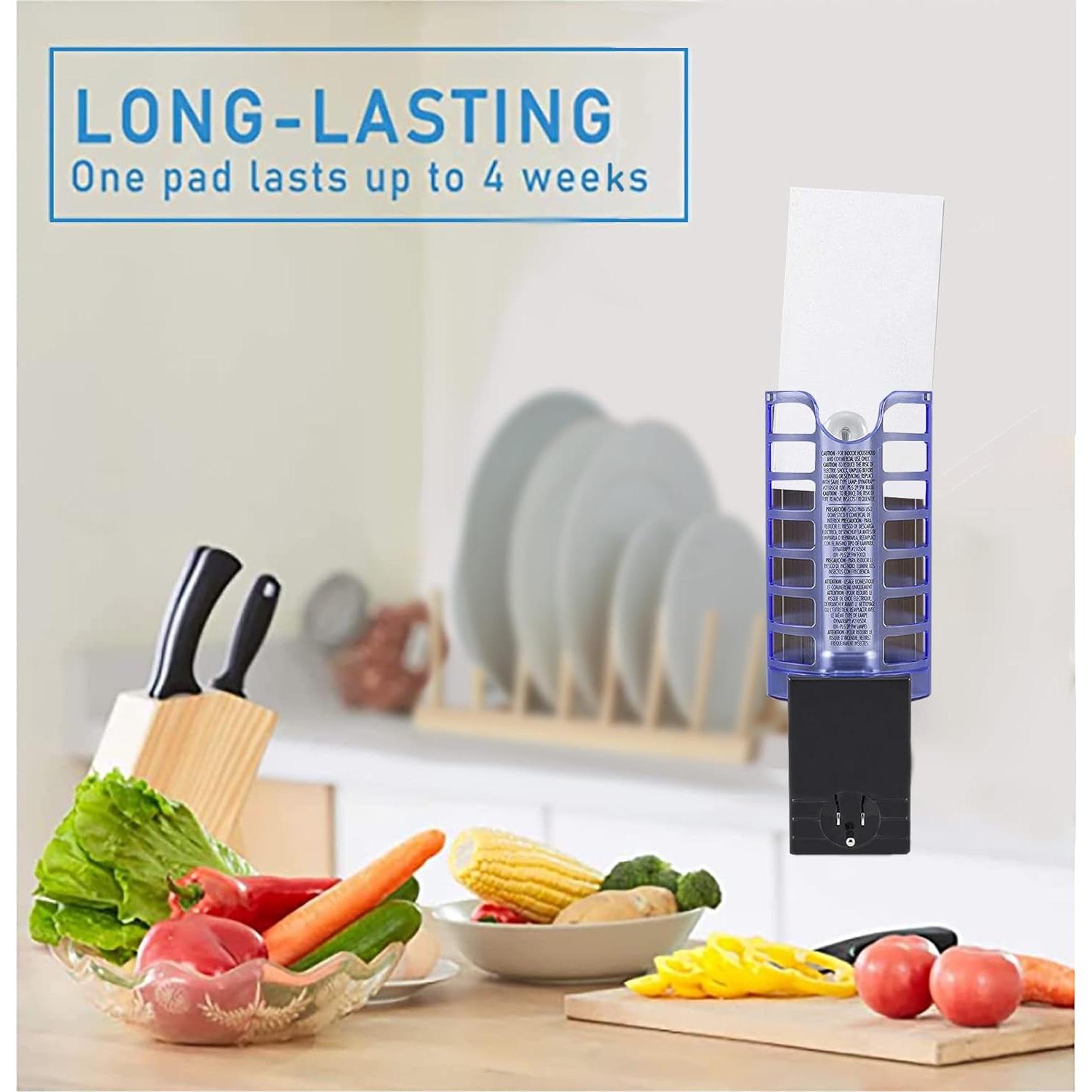 12 Tableros de Pegamento Dichroma para Trampa Dynatrap