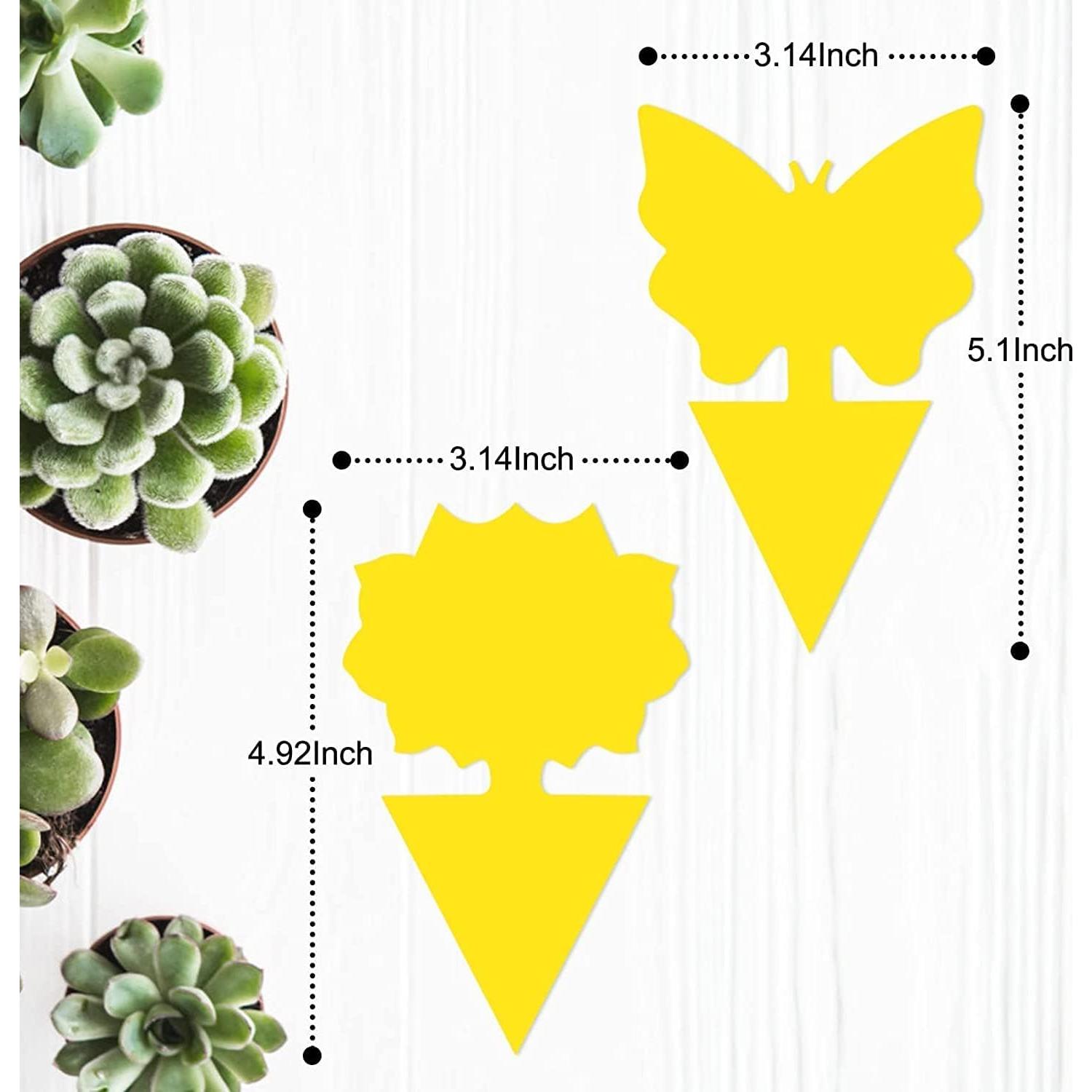 Trampas Adhesivas para Moscas de la Fruta Stingmon - 36 Piezas