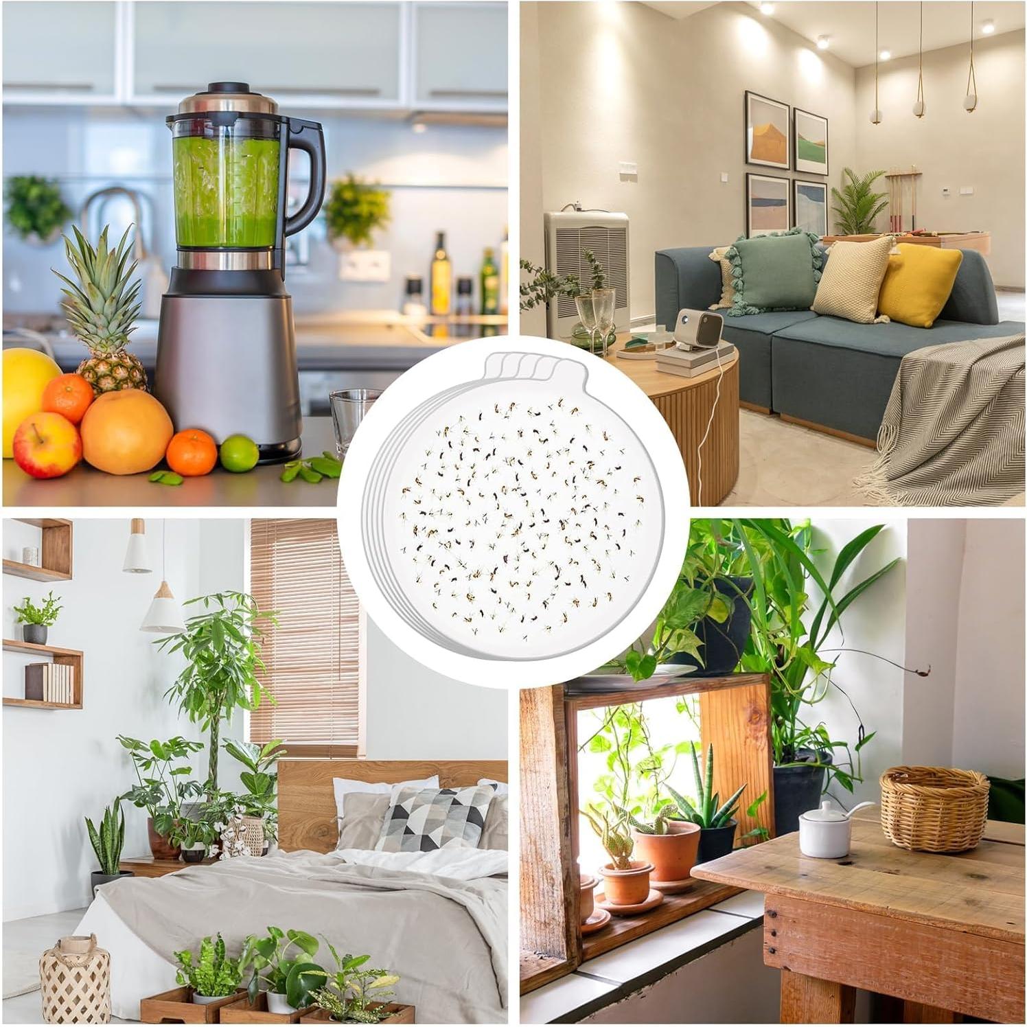 Placa de Goma Adhesiva Lousye 10.9 cm para Trampa de Insectos