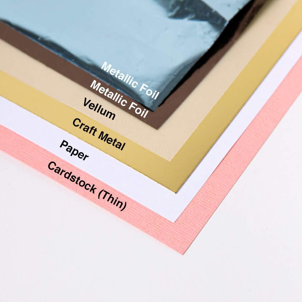 Carpeta de Embossing 3D Sizzix Rosas Alta Definición 15.88x10.80cm