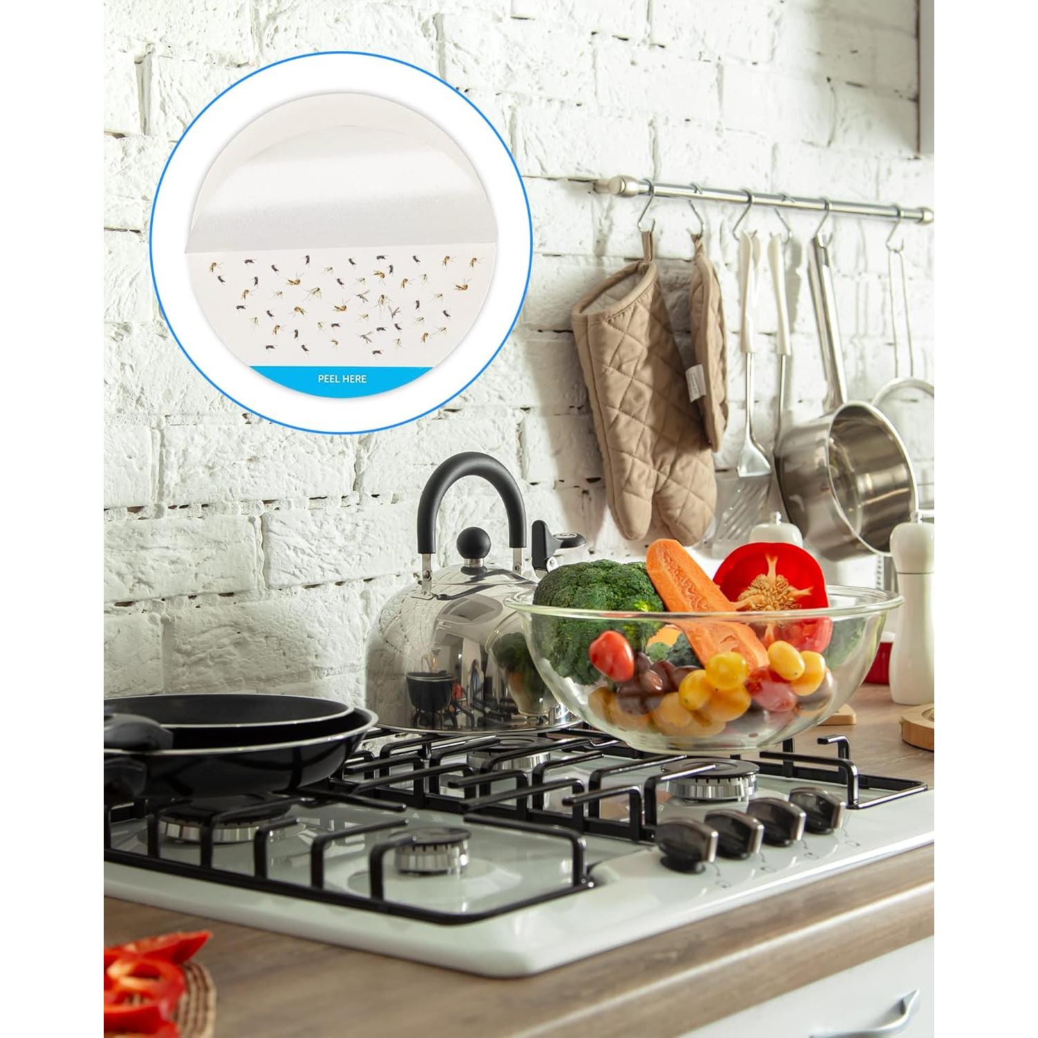 Repuestos Adhesivos para Trampas de Insectos Dichroma - 24 Unidades