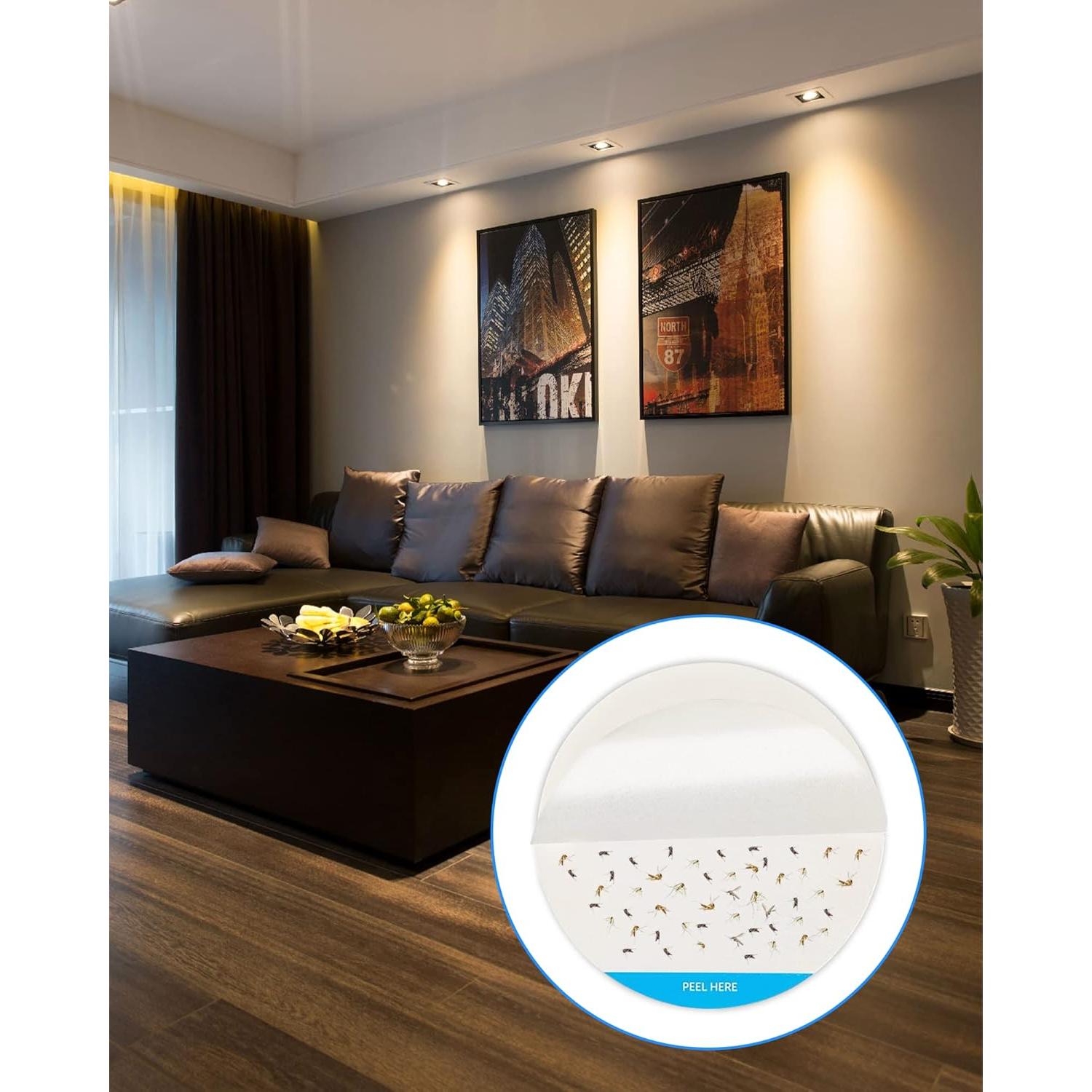 Repuestos Adhesivos para Trampas de Insectos Dichroma - 24 Unidades