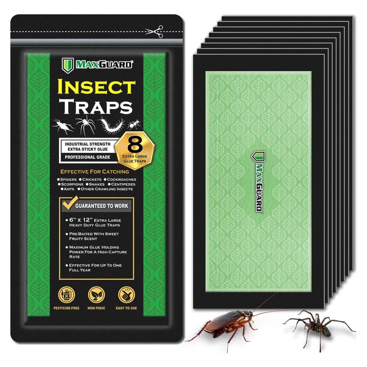 Trampas de Insectos Extra Grandes MaxGuard - 8 Unidades, No Tóxicas
