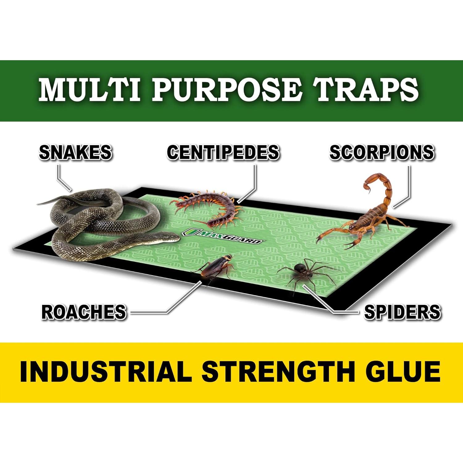 Trampas de Insectos Extra Grandes MaxGuard - 8 Unidades, No Tóxicas