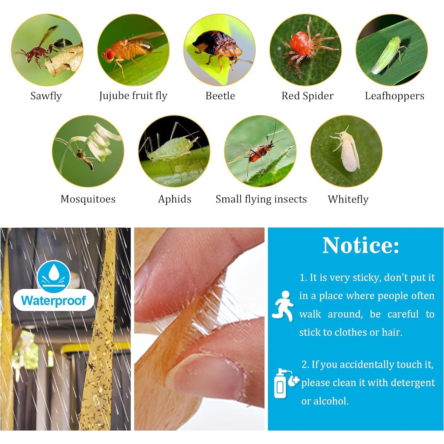 Trampa Adhesiva para Moscas Glovv 60 Paquete Interior Exterior