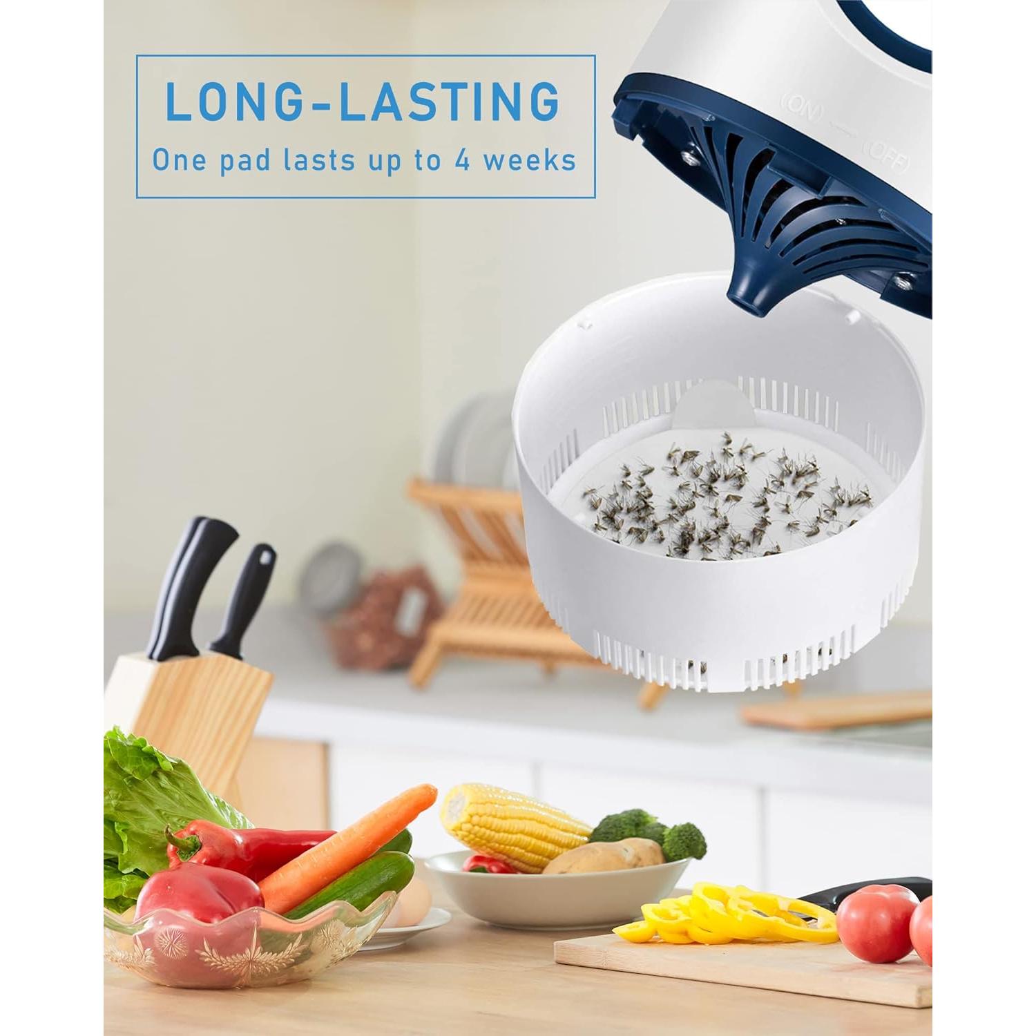 48 Almohadillas Adhesivas para Trampas de Insectos Dichroma 10.5 cm