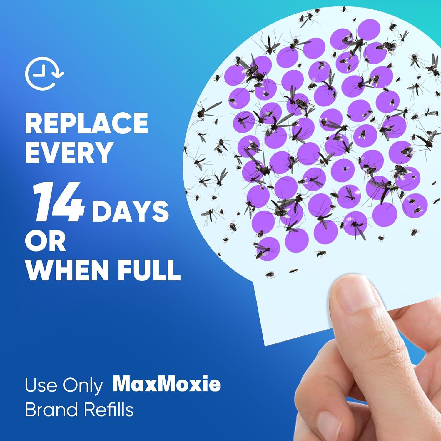 Recargas Trampa Insectos MaxMoxie 10 Tableros Adhesivos Extra Grande