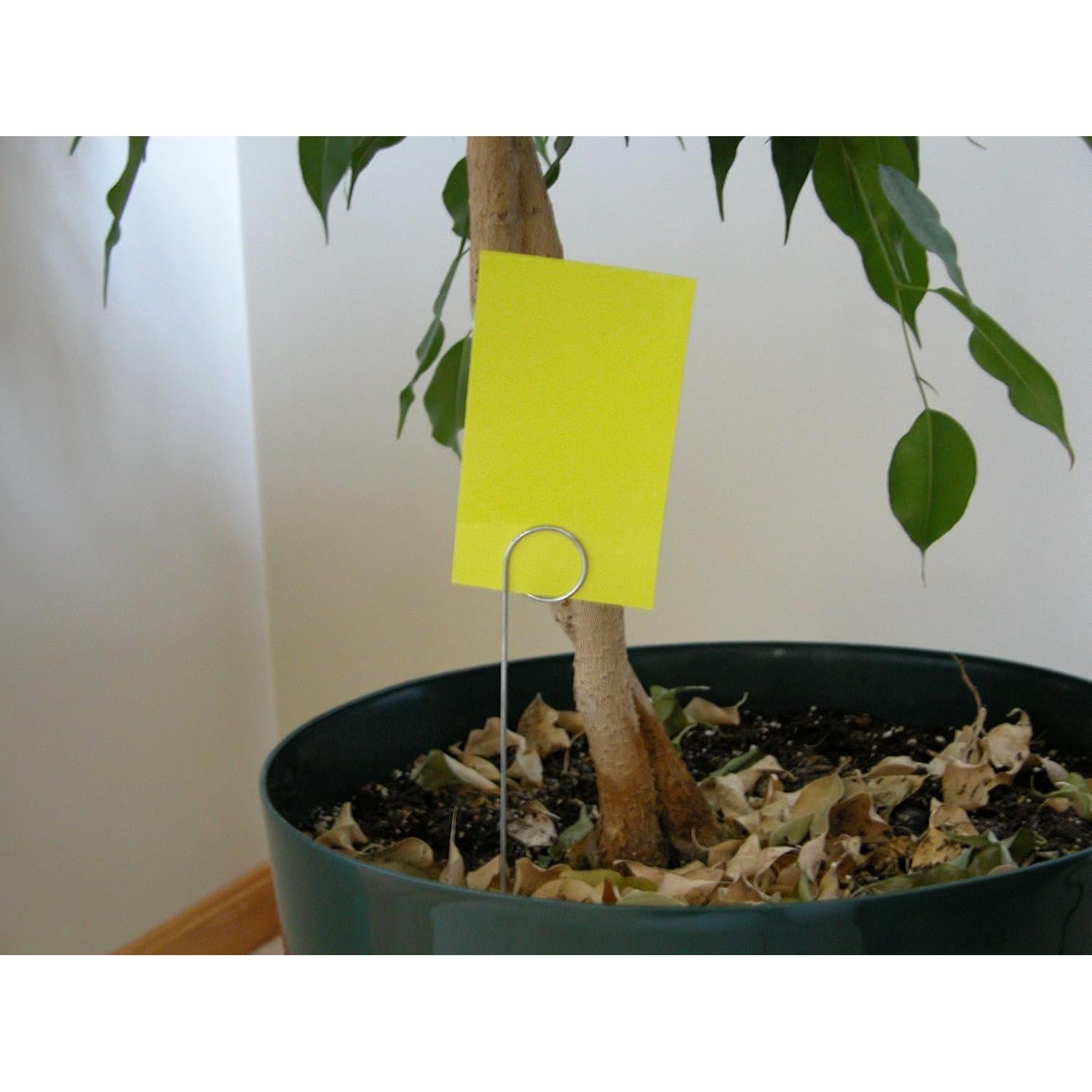 Paquete de 100 Sujetadores de Alambre Galvanizado 30.48 cm