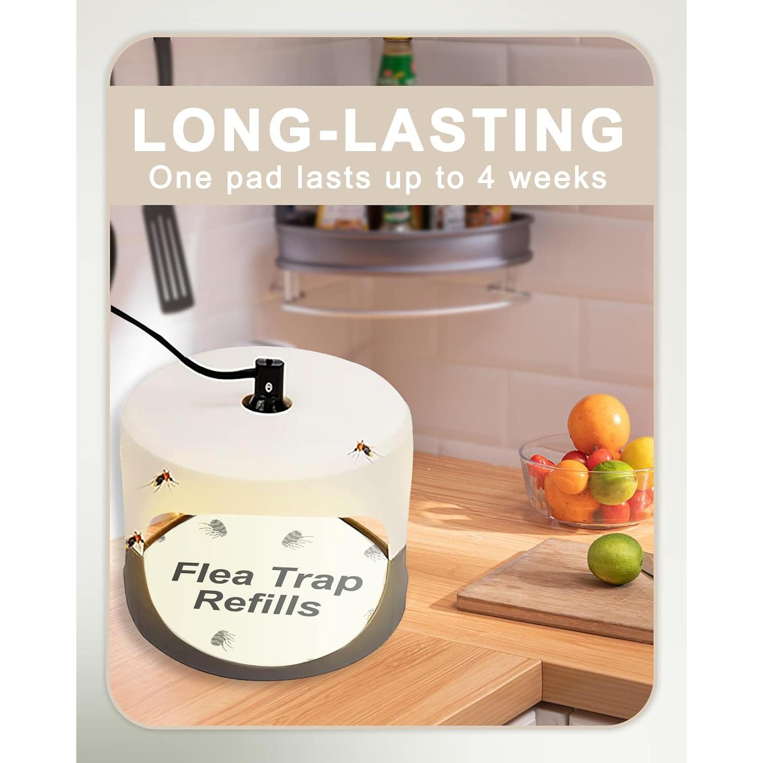 Discos de Recarga para Trampa de Pulgas Dichroma - 20 Unidades