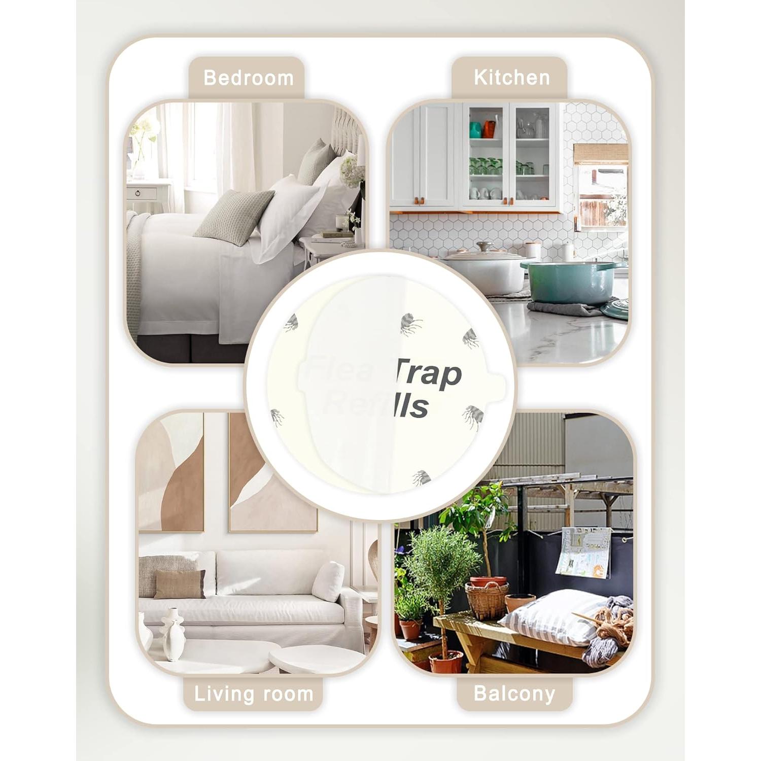 Discos de Recarga para Trampa de Pulgas Dichroma - 20 Unidades