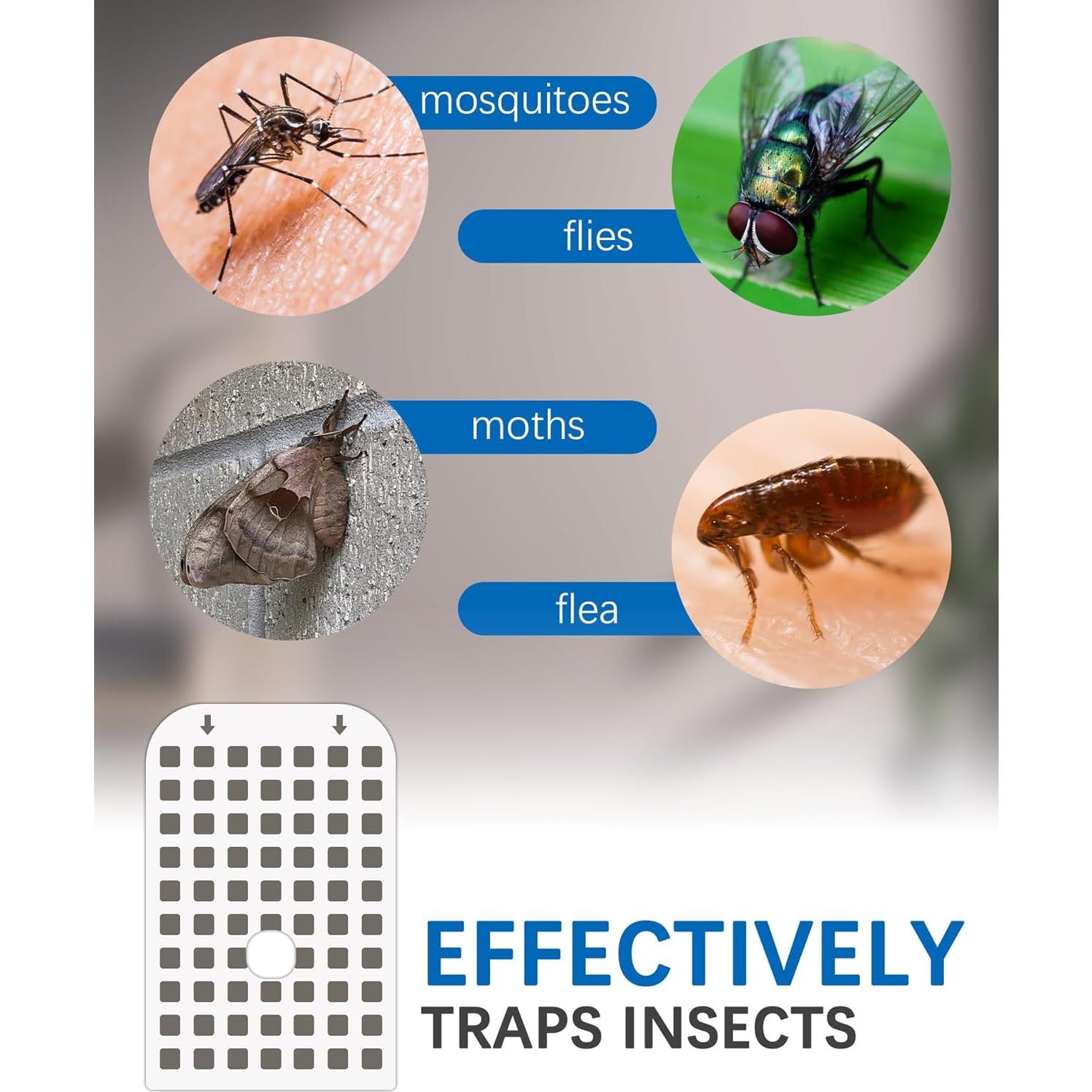 20 Tarjetas de Pegamento para Trampa de Moscas DFAGIE GS6