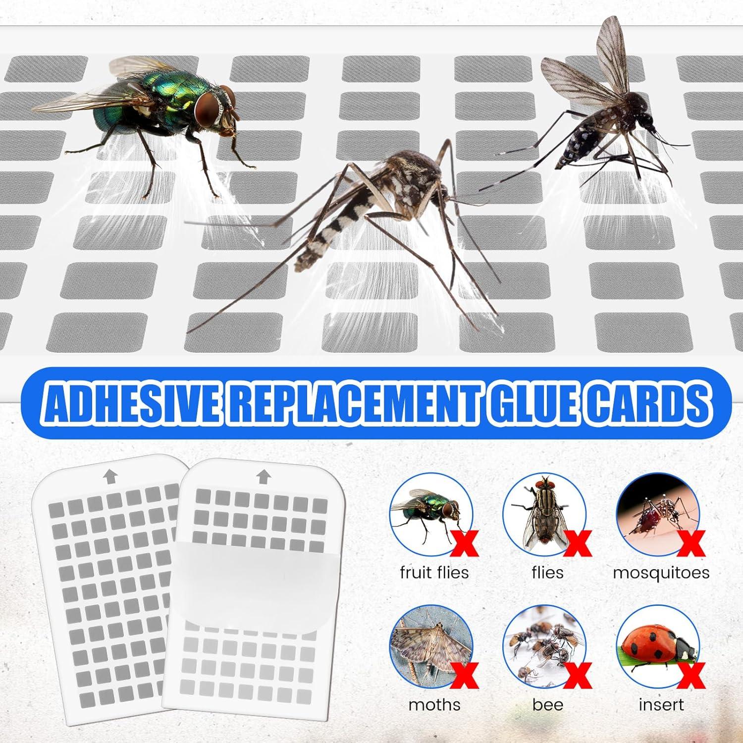 Recarga Trampa Insectos Voladores Qualirey 30 Unidades