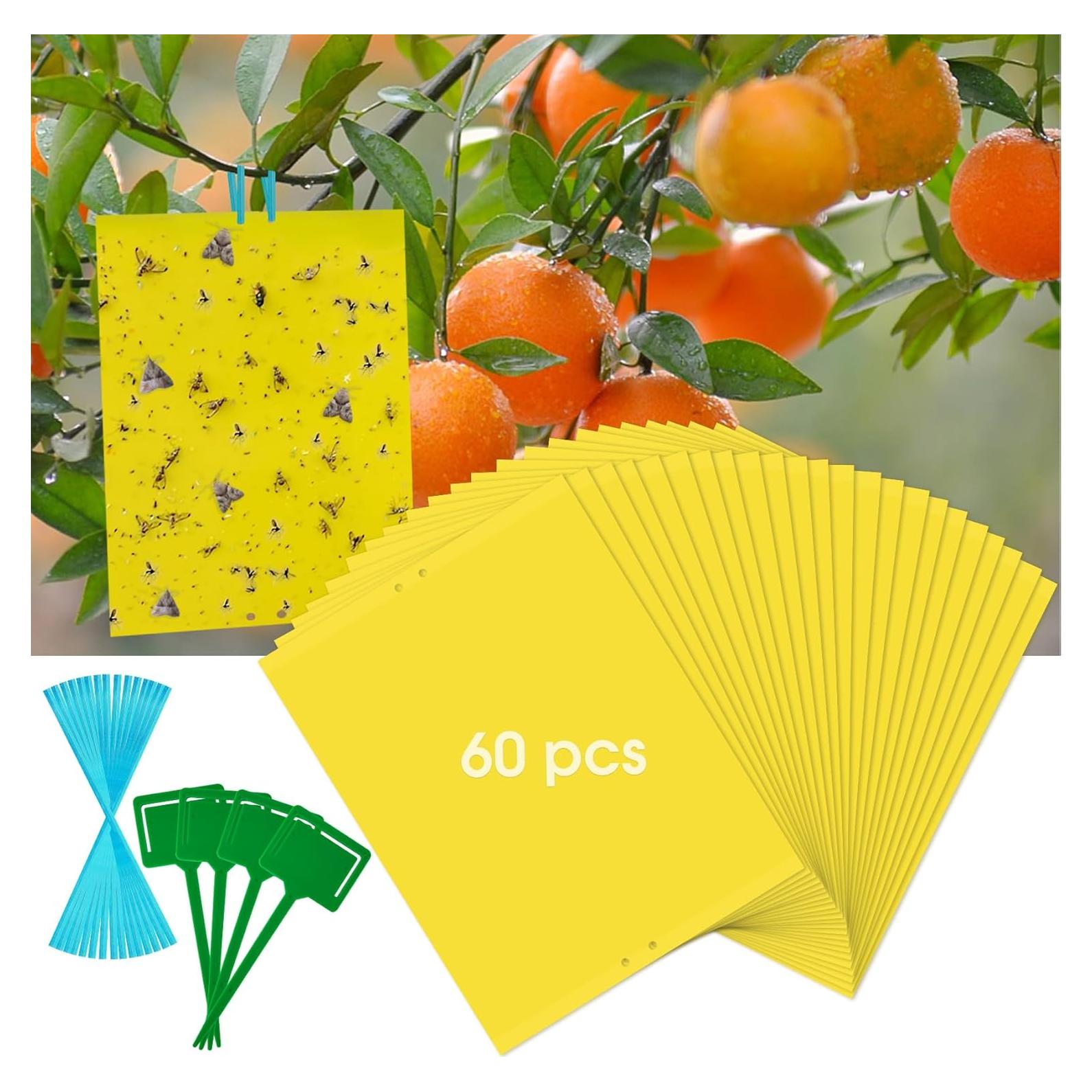 Trampas Adherentes Amarillas Dwcom 60 Piezas para Moscas