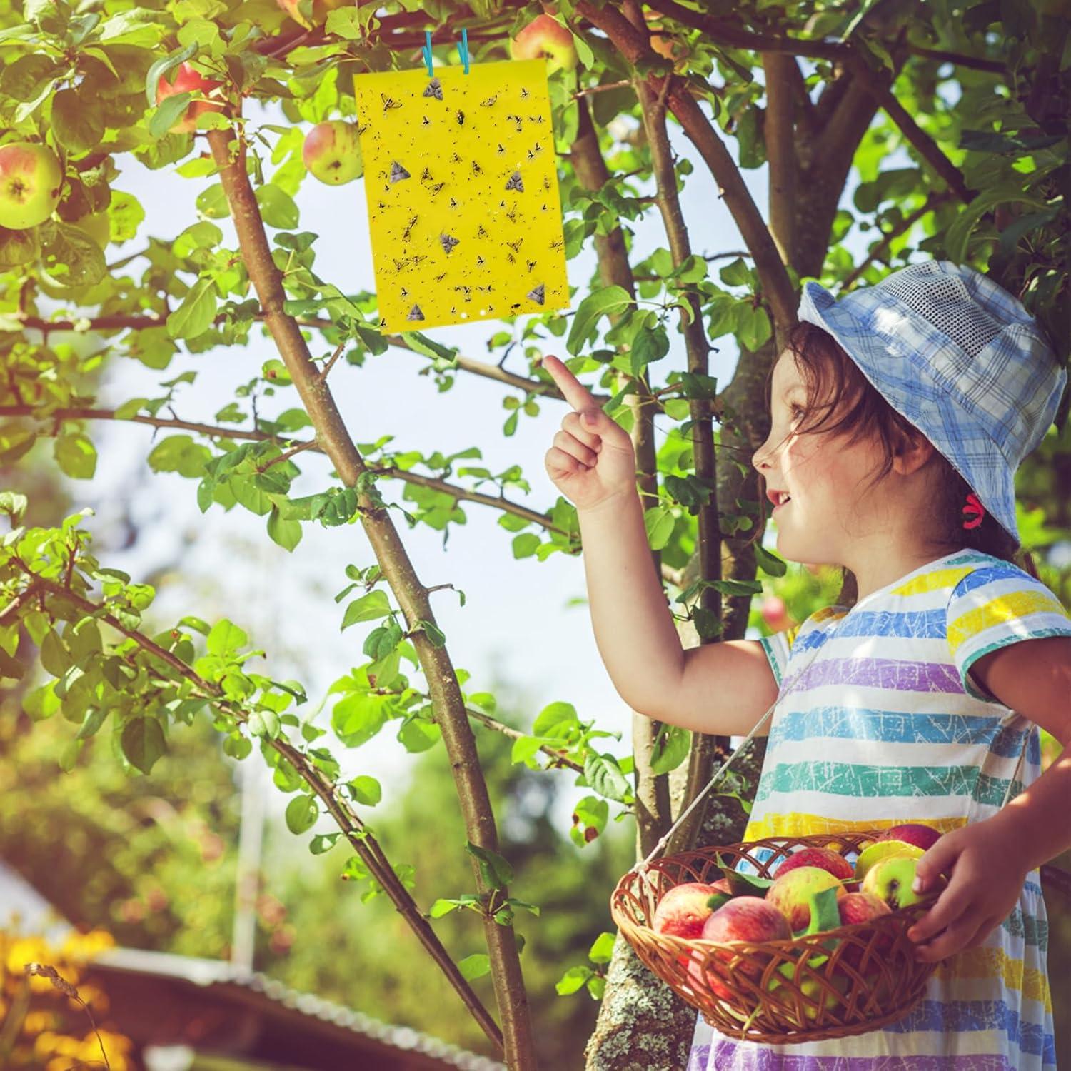 Trampas Adherentes Amarillas Dwcom 60 Piezas para Moscas