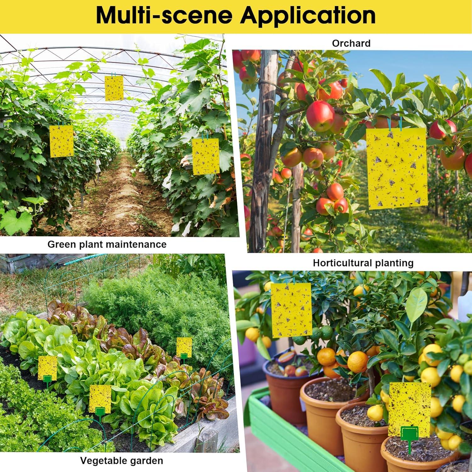 Trampas Adherentes Amarillas Dwcom 60 Piezas para Moscas