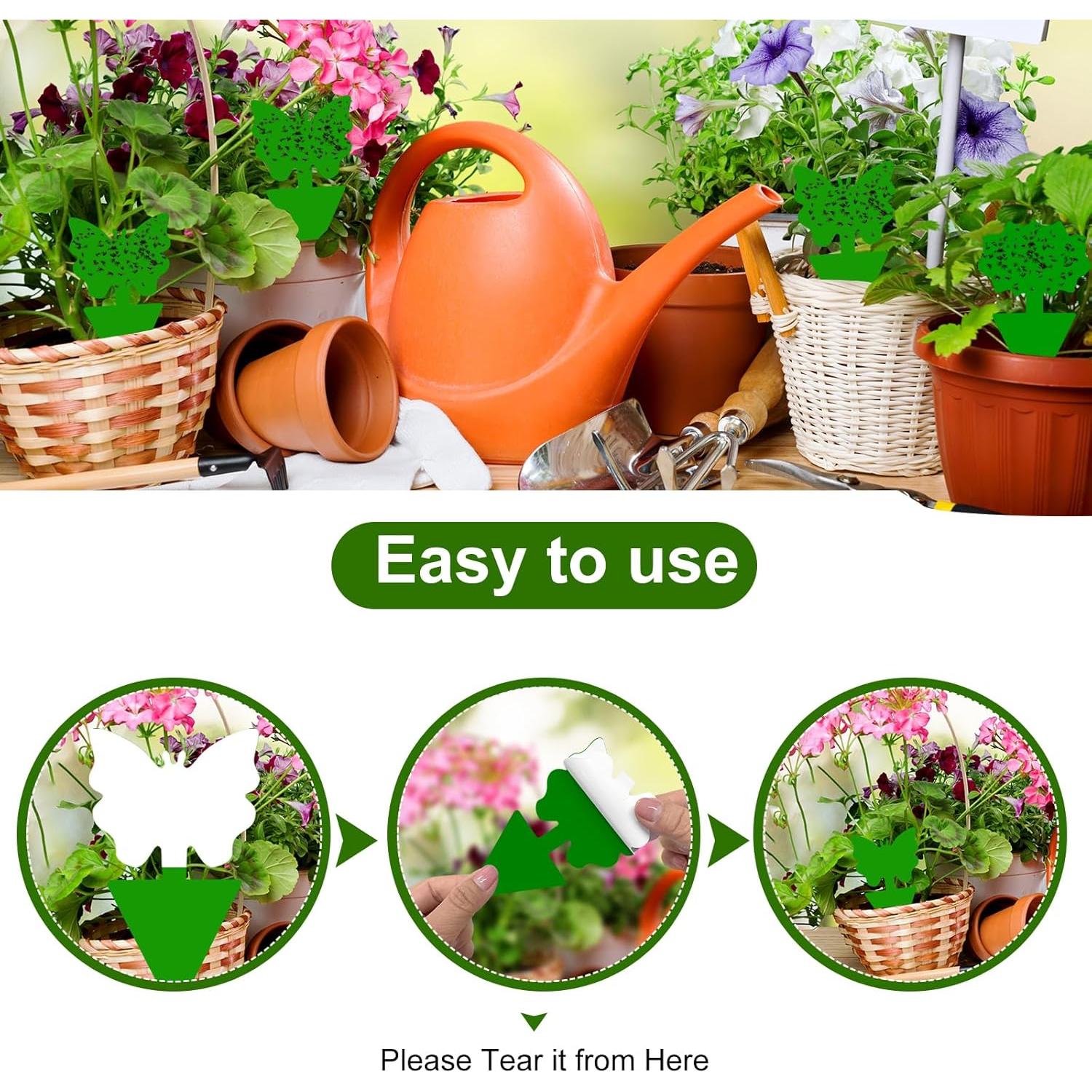 Trampas Adhesivas Verdes para Moscas de Fruta - 100 Unidades